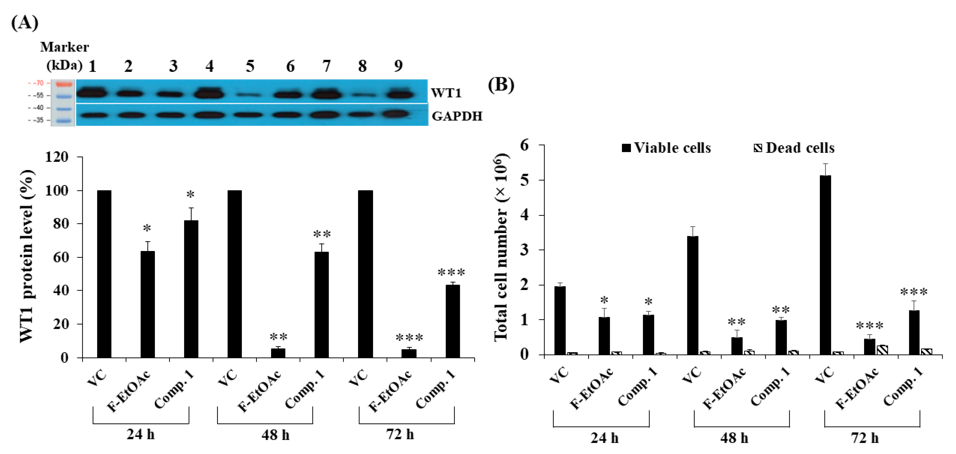 Molecules 25 05476 g009