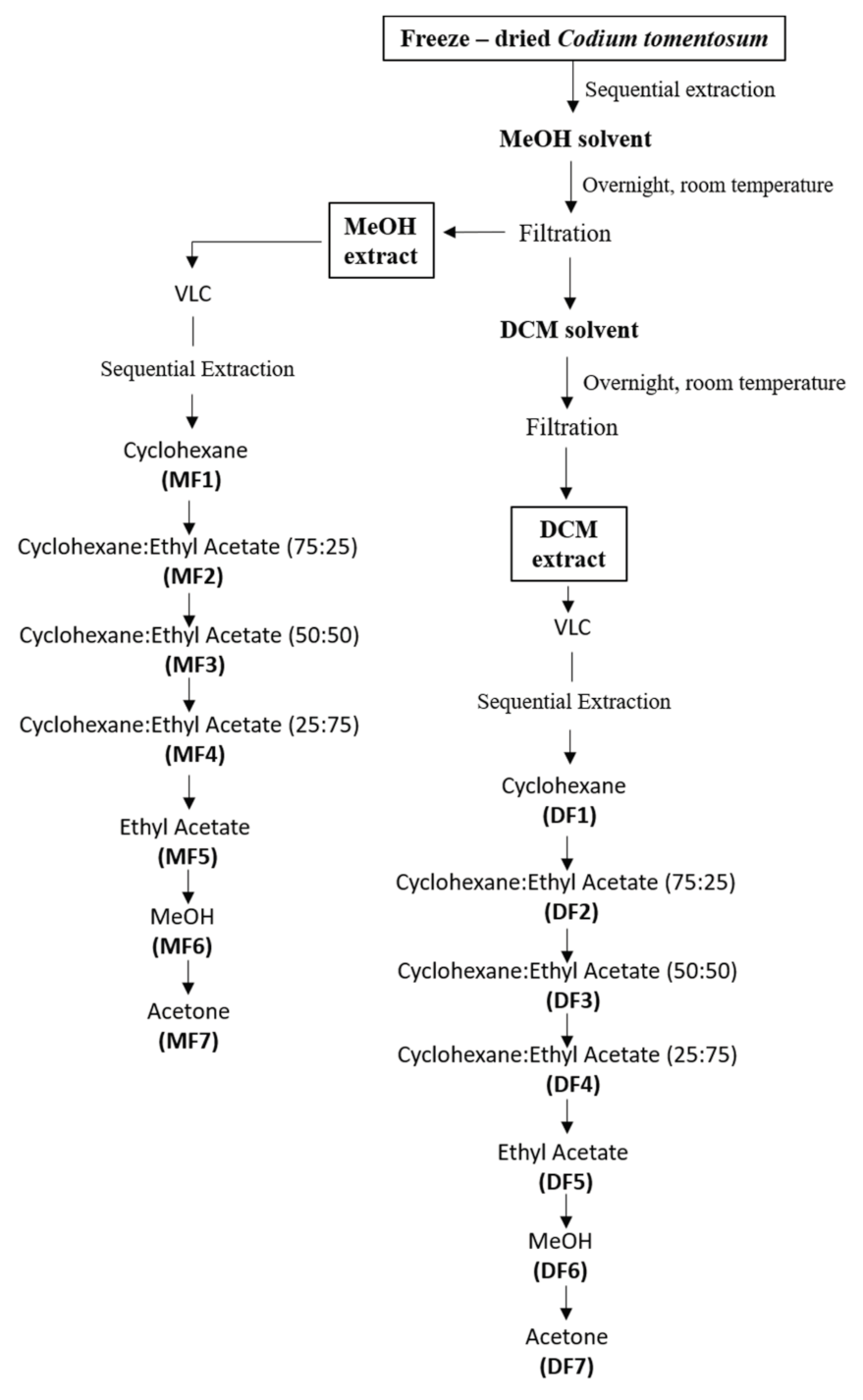 Molecules 25 05478 g001 Molecules 25 05478 g001