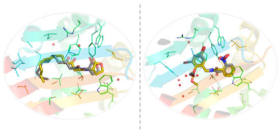 Anti-Quorum Sensing Activity of Stevia Extract, Stevioside
