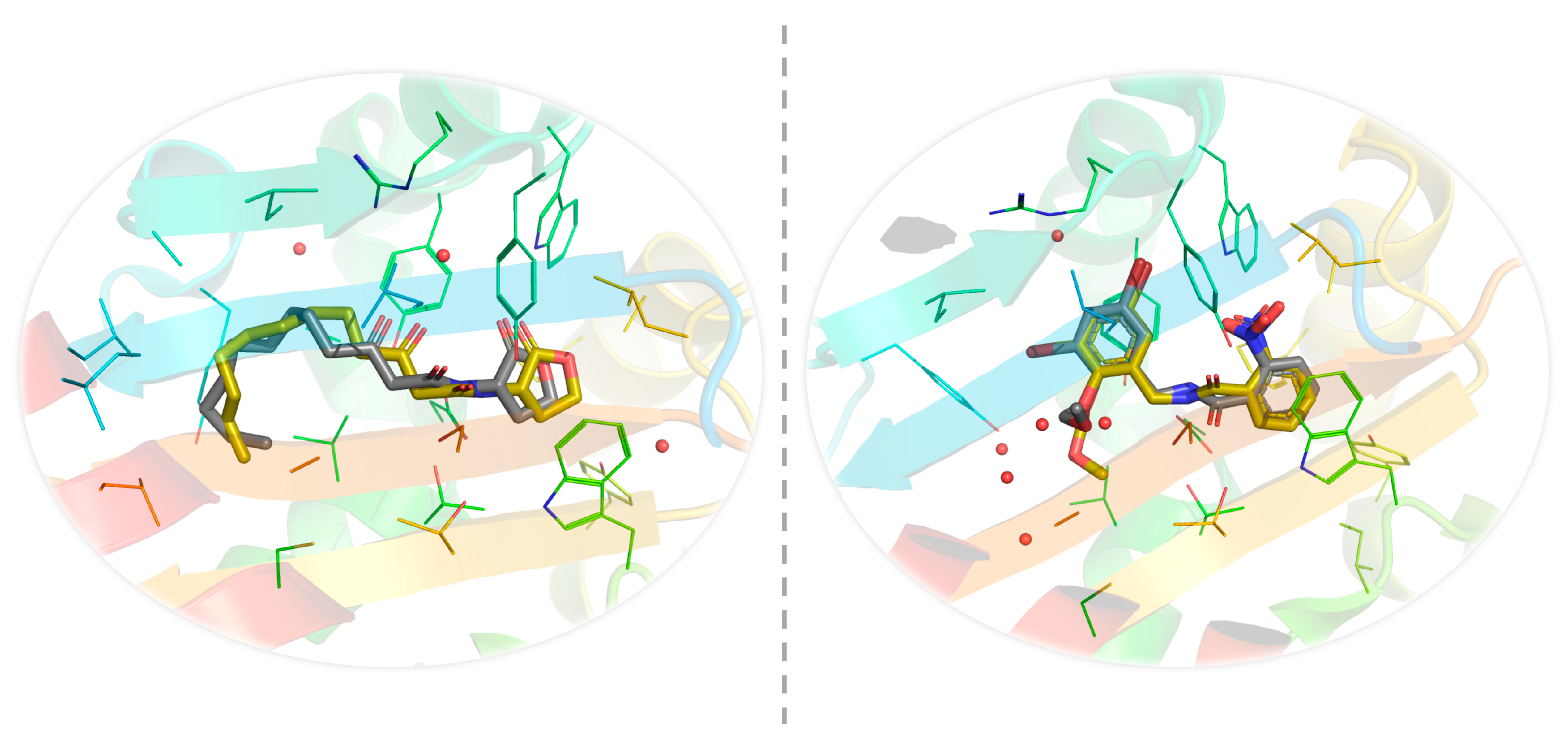 Molecules 25 05480 g006