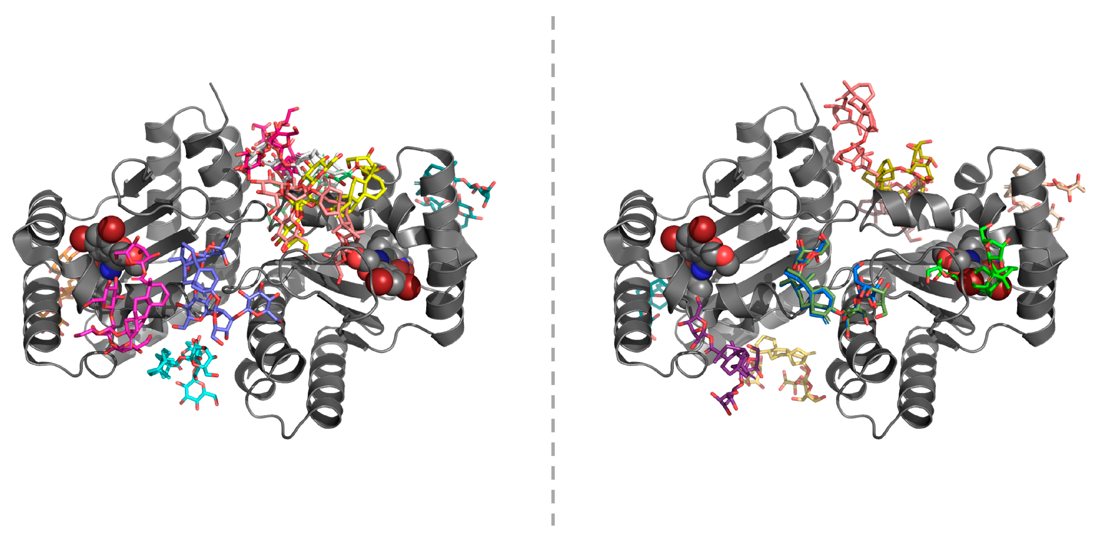 Molecules 25 05480 g008