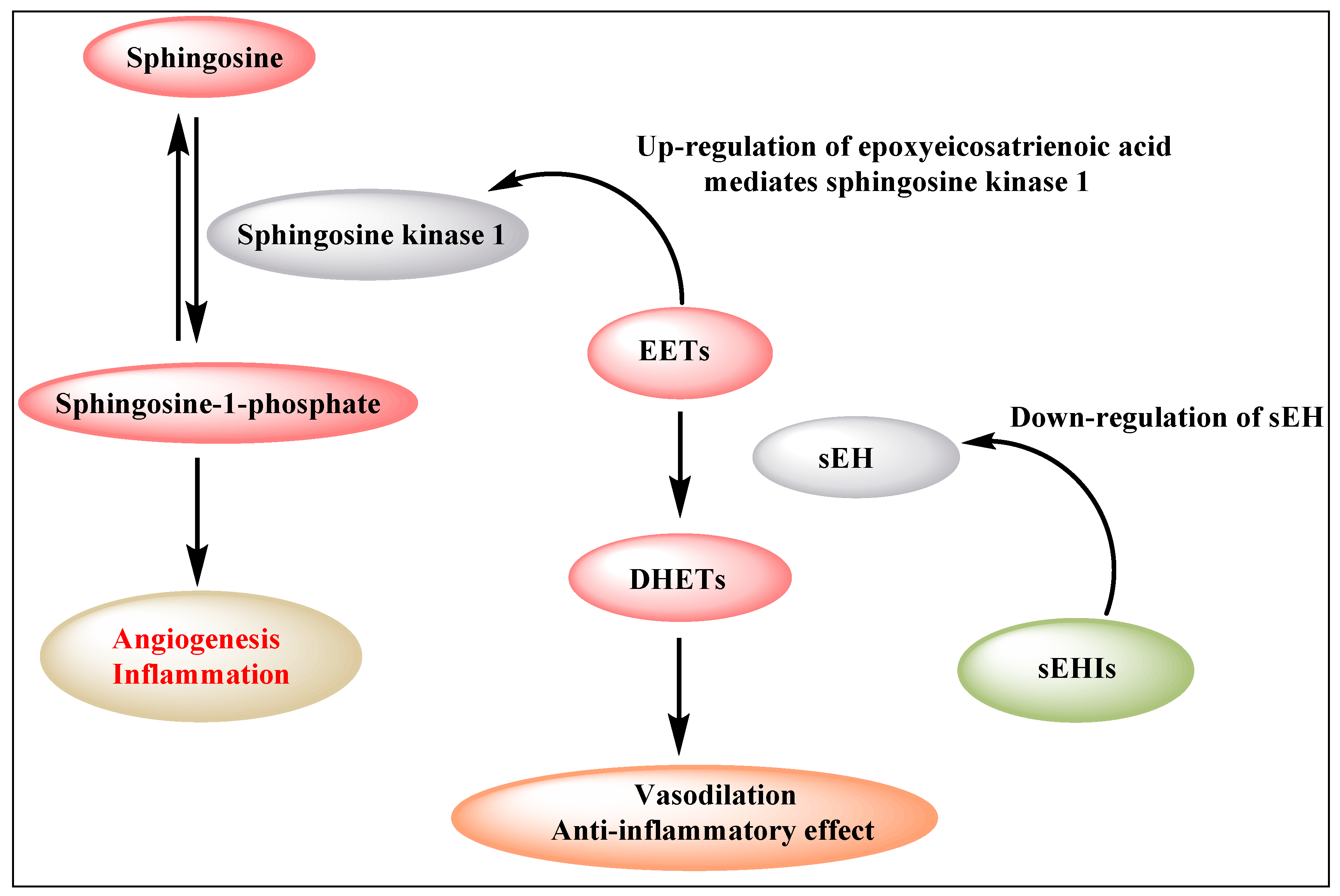 Molecules 25 05488 g001