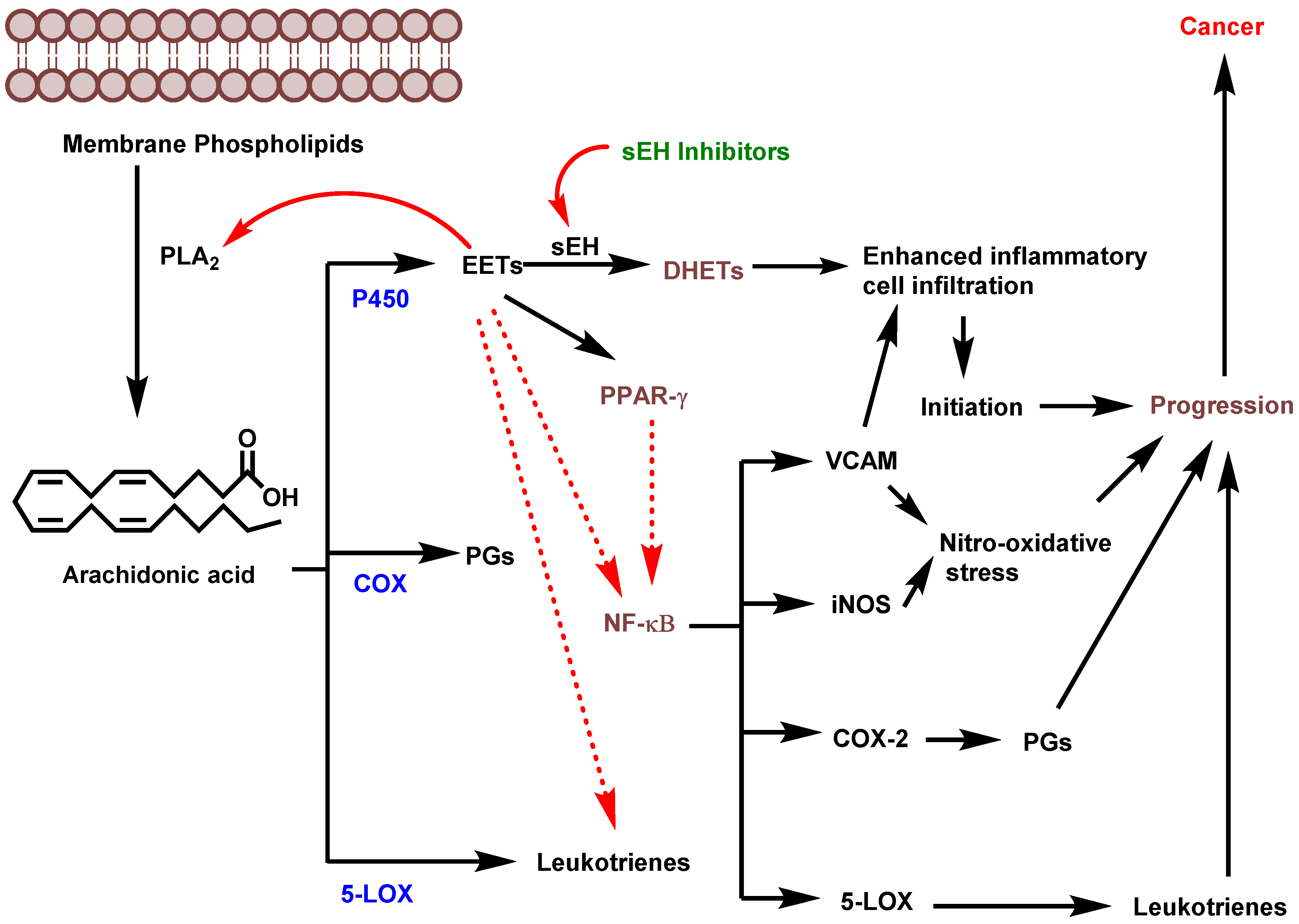 Molecules 25 05488 g002