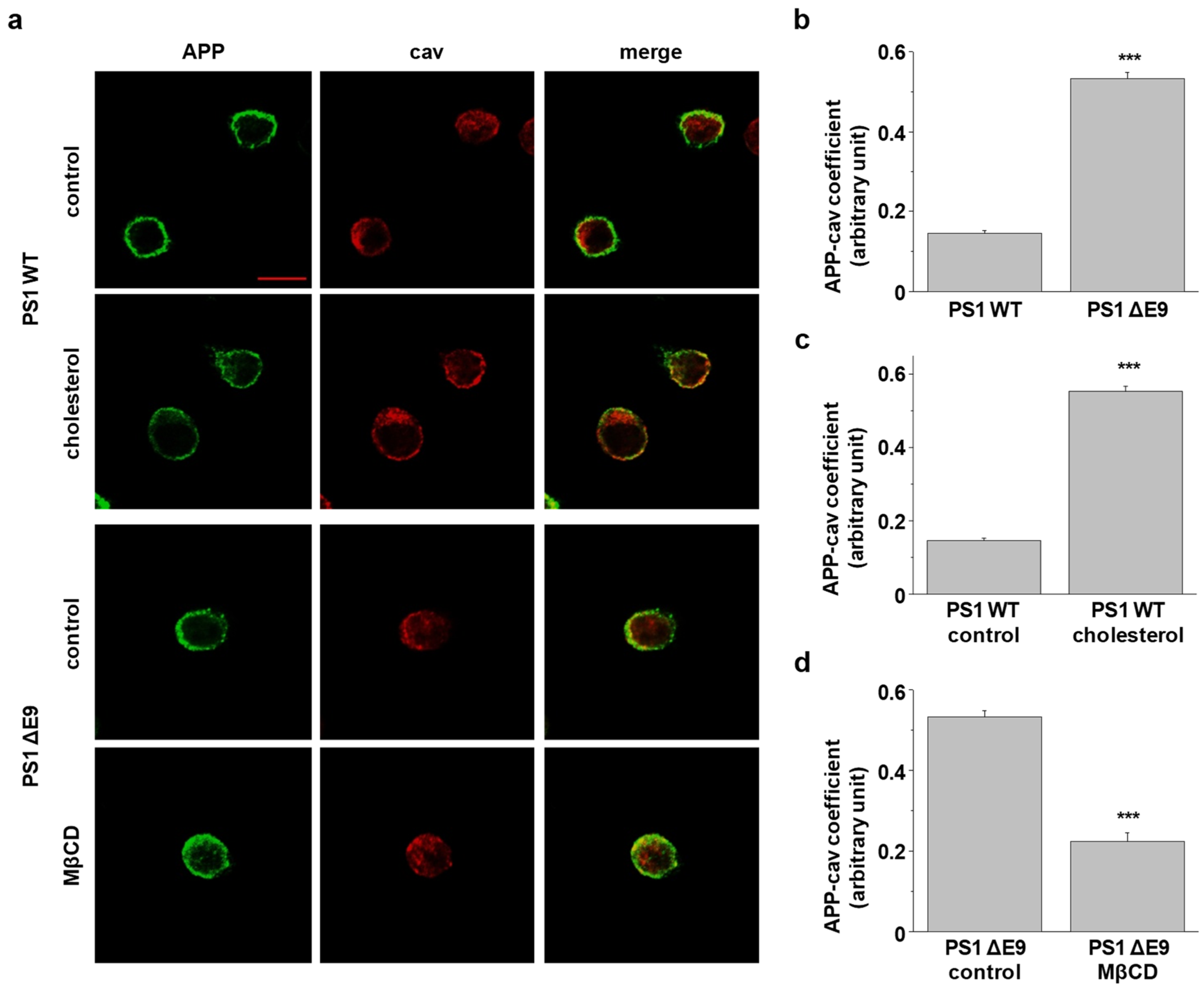 Molecules 25 05490 g001