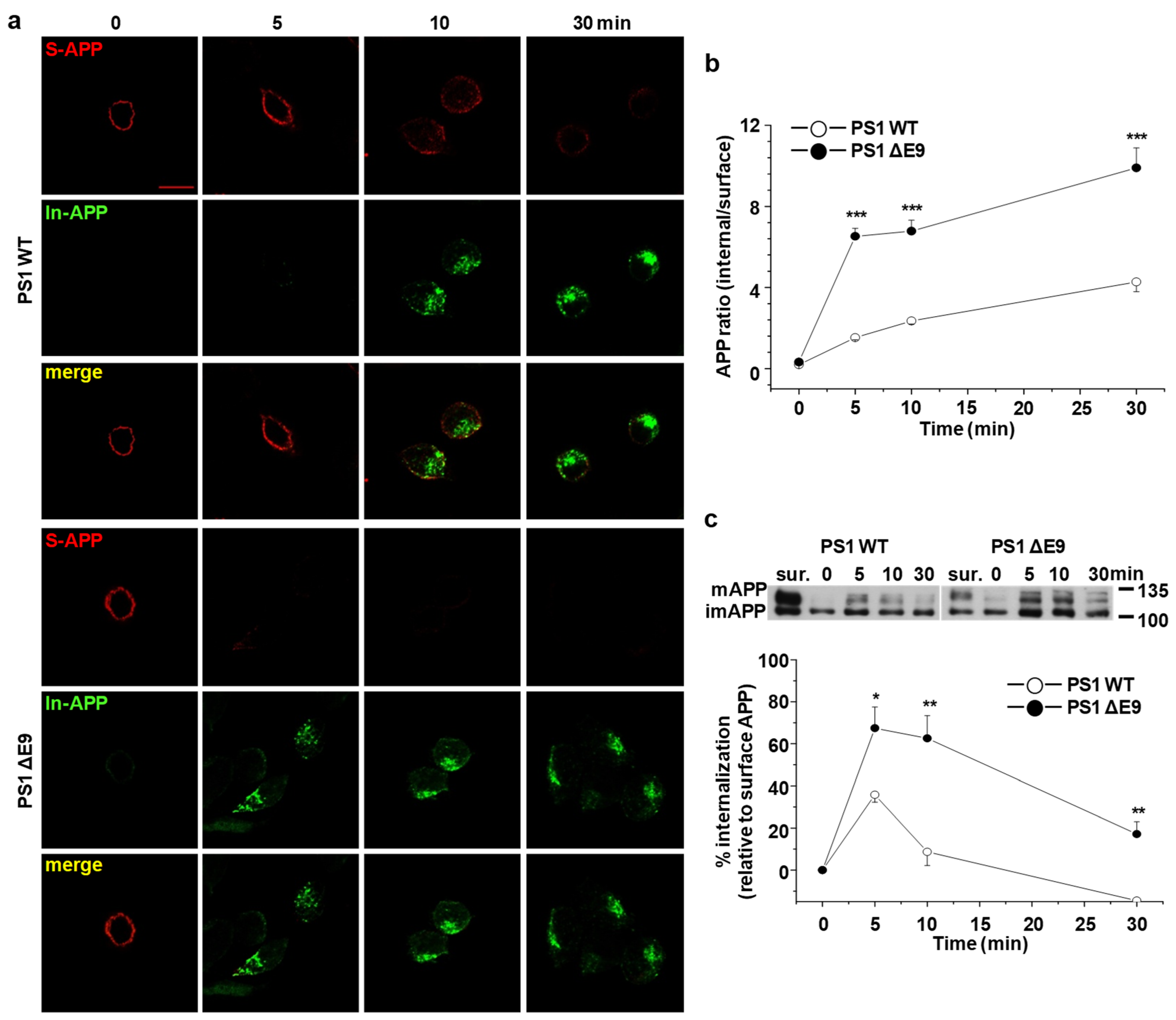 Molecules 25 05490 g002