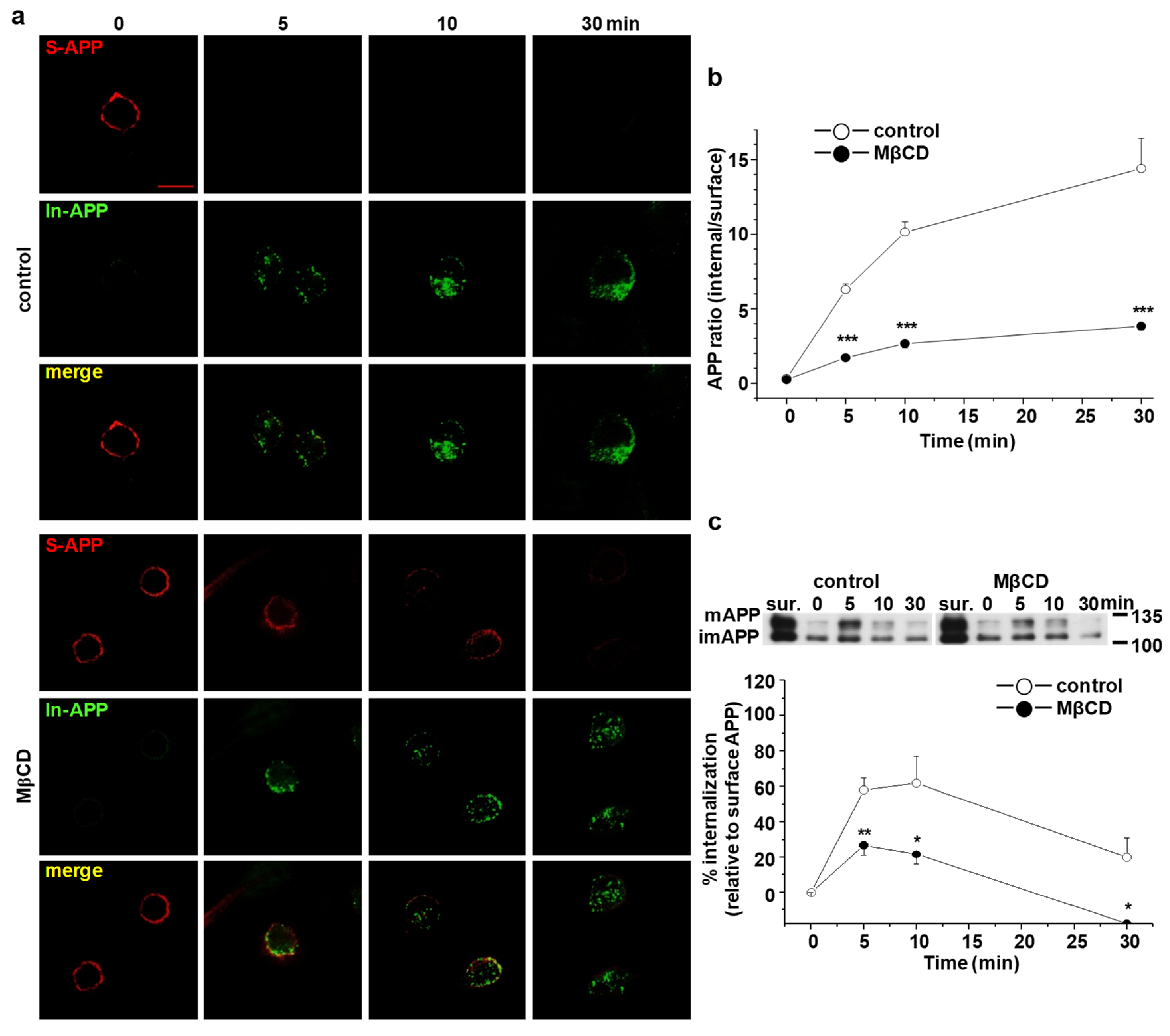 Molecules 25 05490 g003