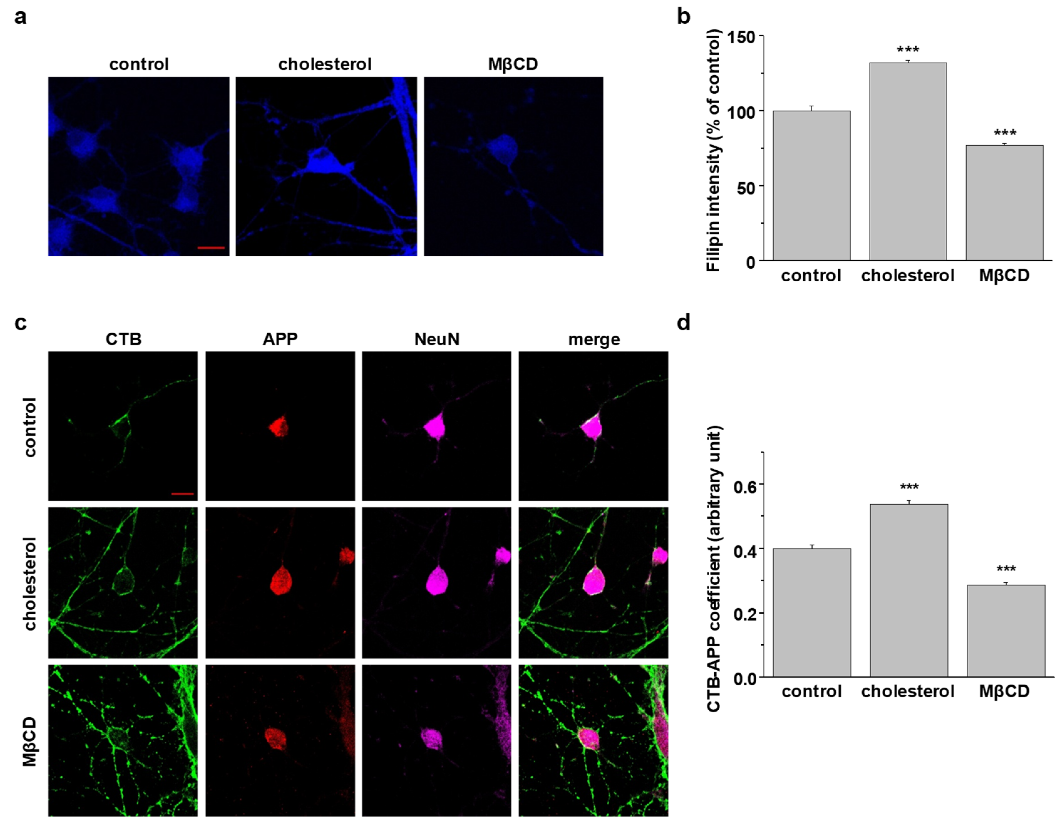 Molecules 25 05490 g006