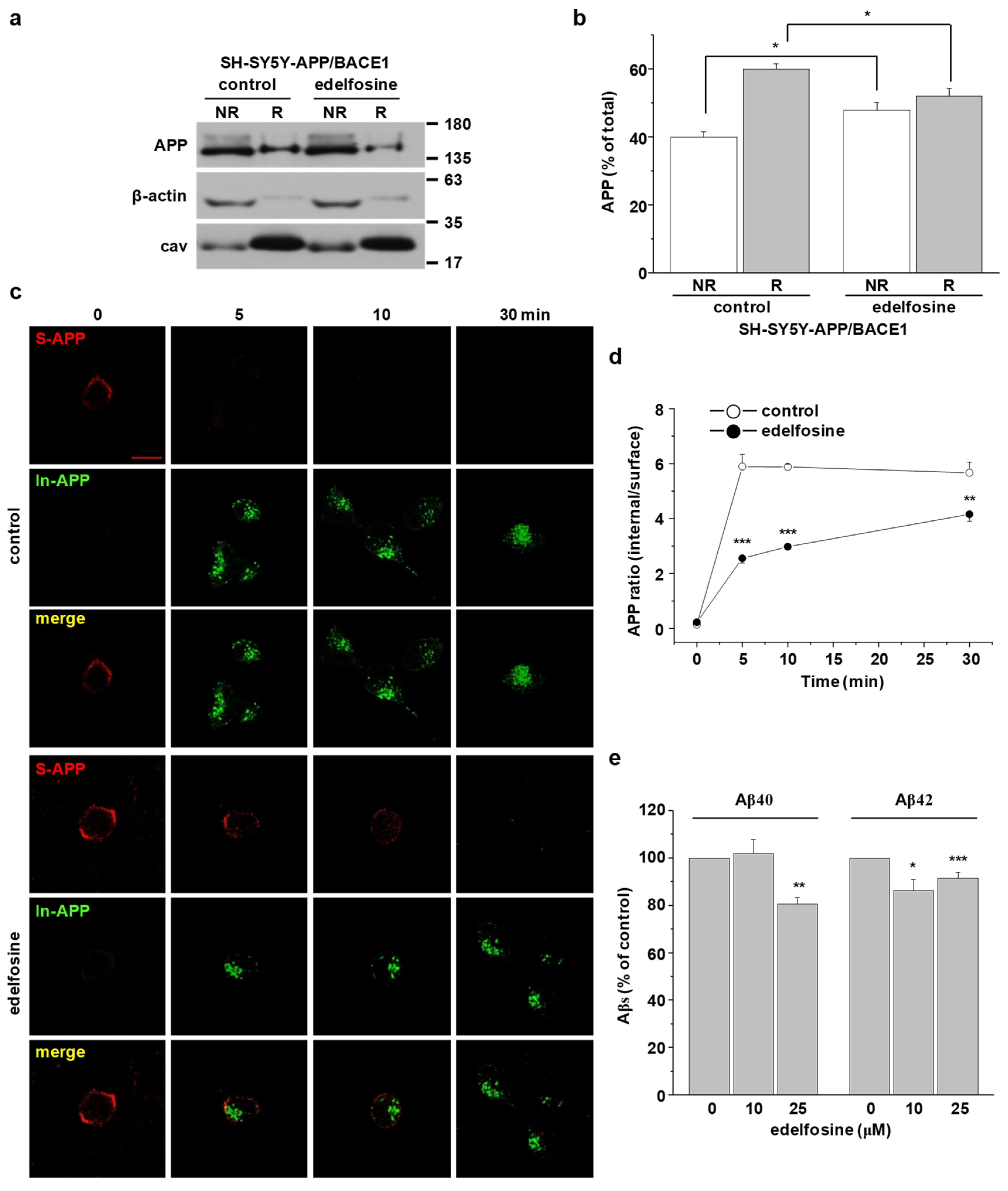Molecules 25 05490 g008