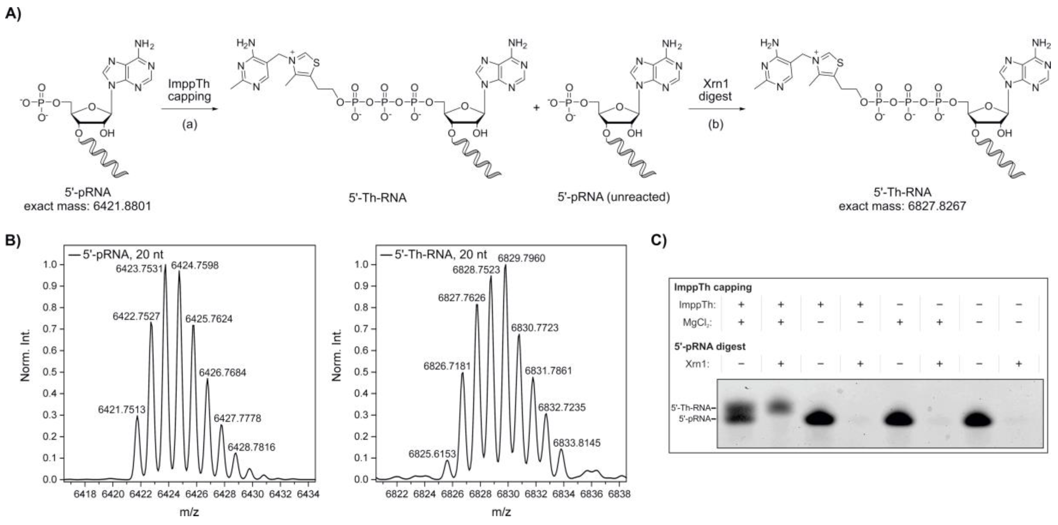 Molecules 25 05492 g002 Molecules 25 05492 g002