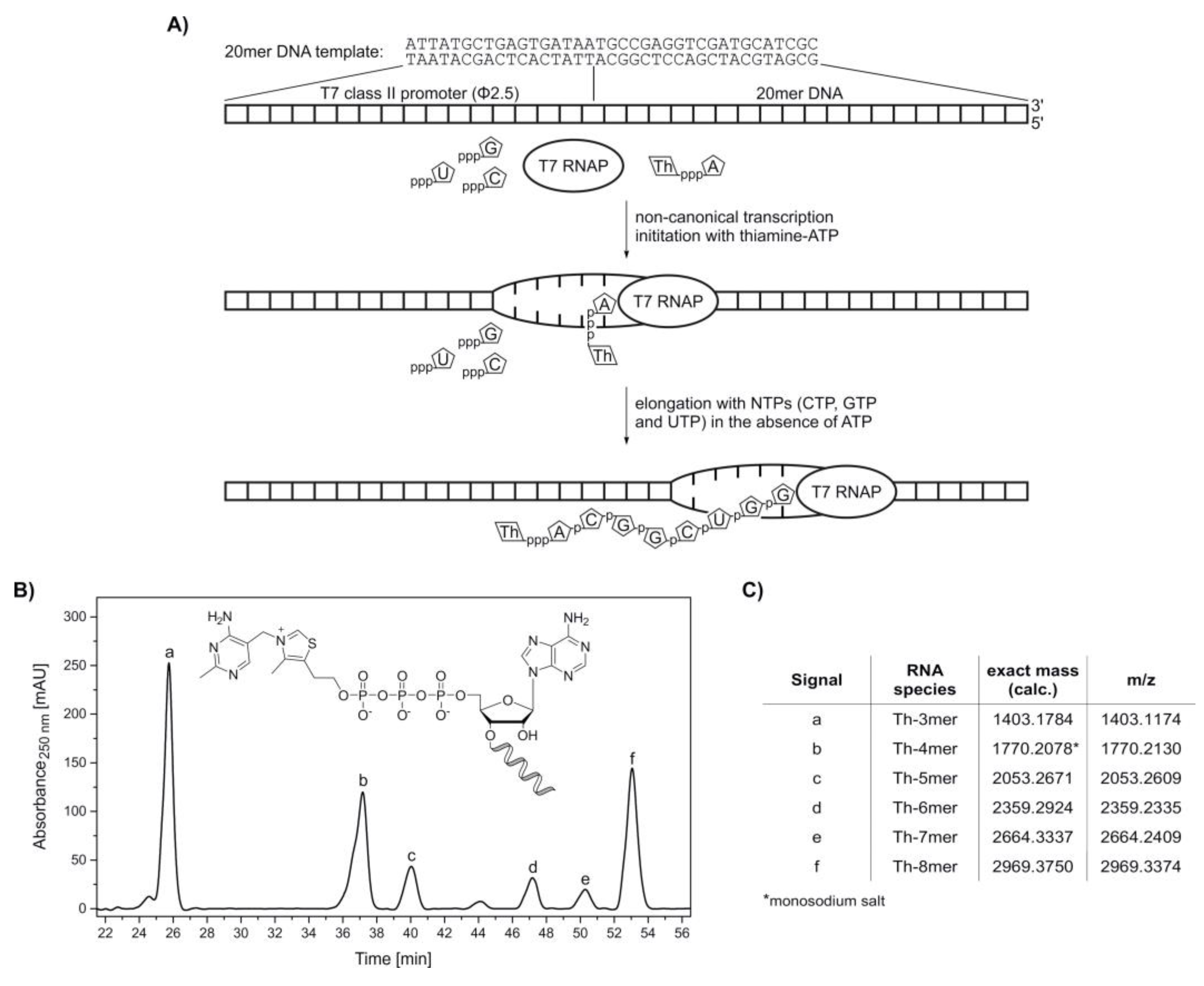 Molecules 25 05492 g003 Molecules 25 05492 g003