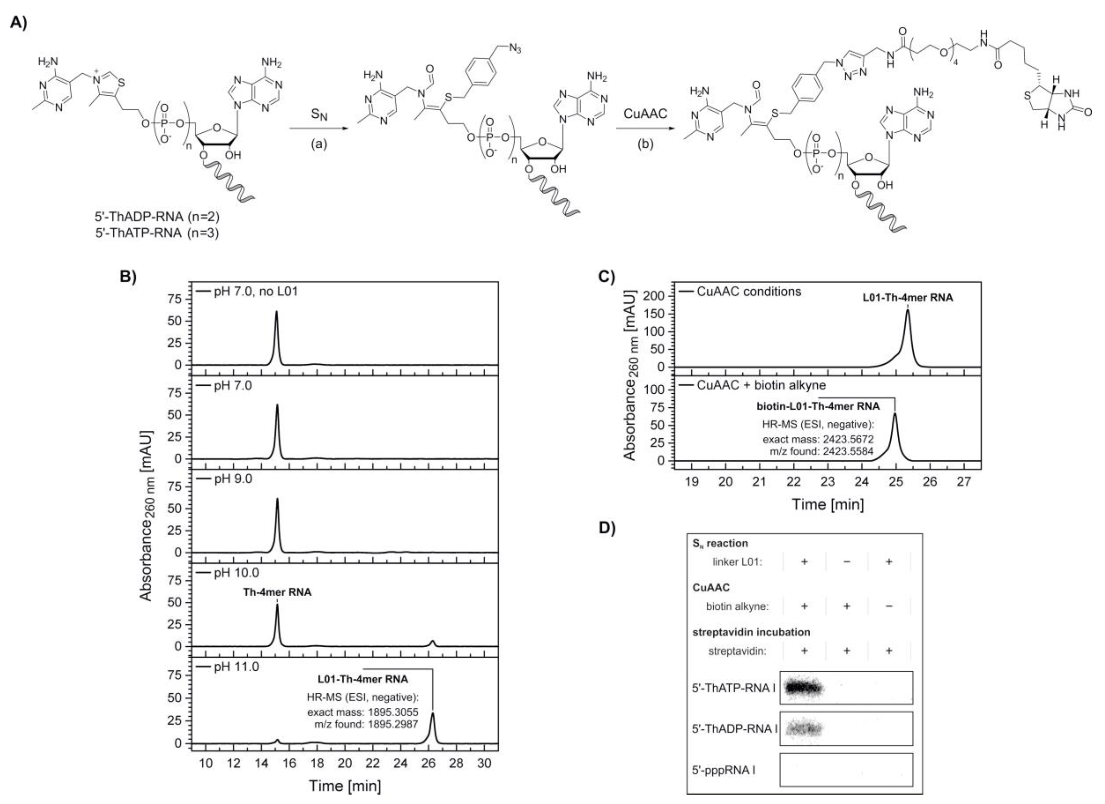 Molecules 25 05492 g004 Molecules 25 05492 g004