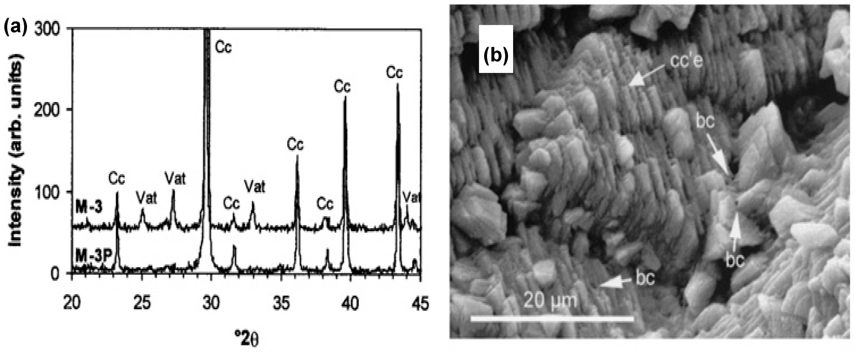Molecules 25 05499 g004