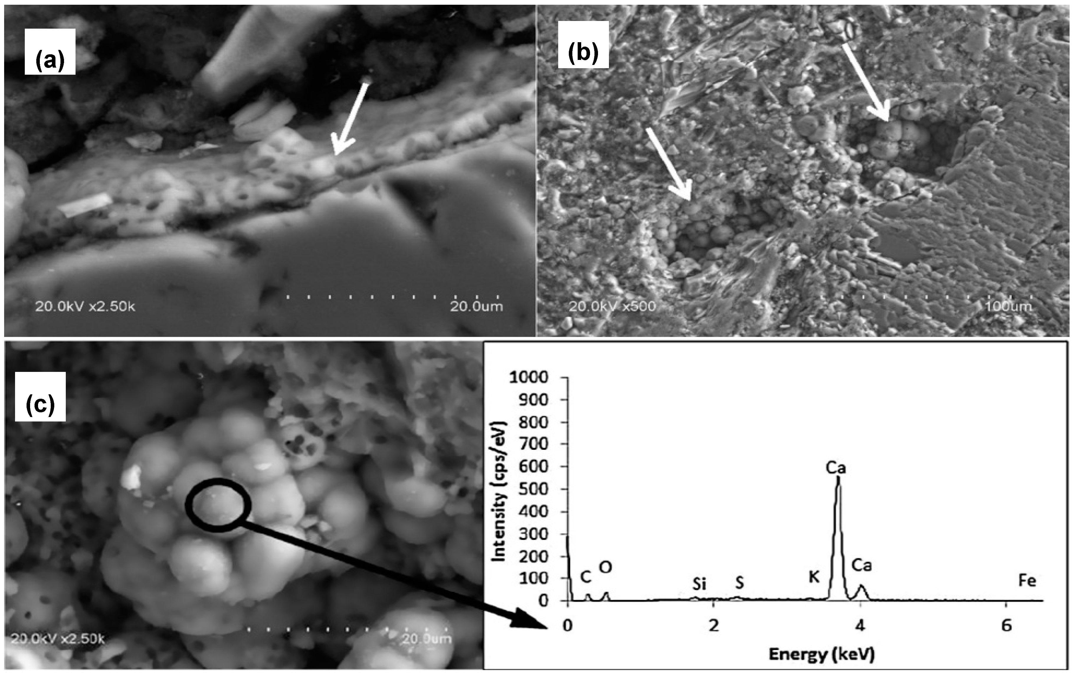 Molecules 25 05499 g008
