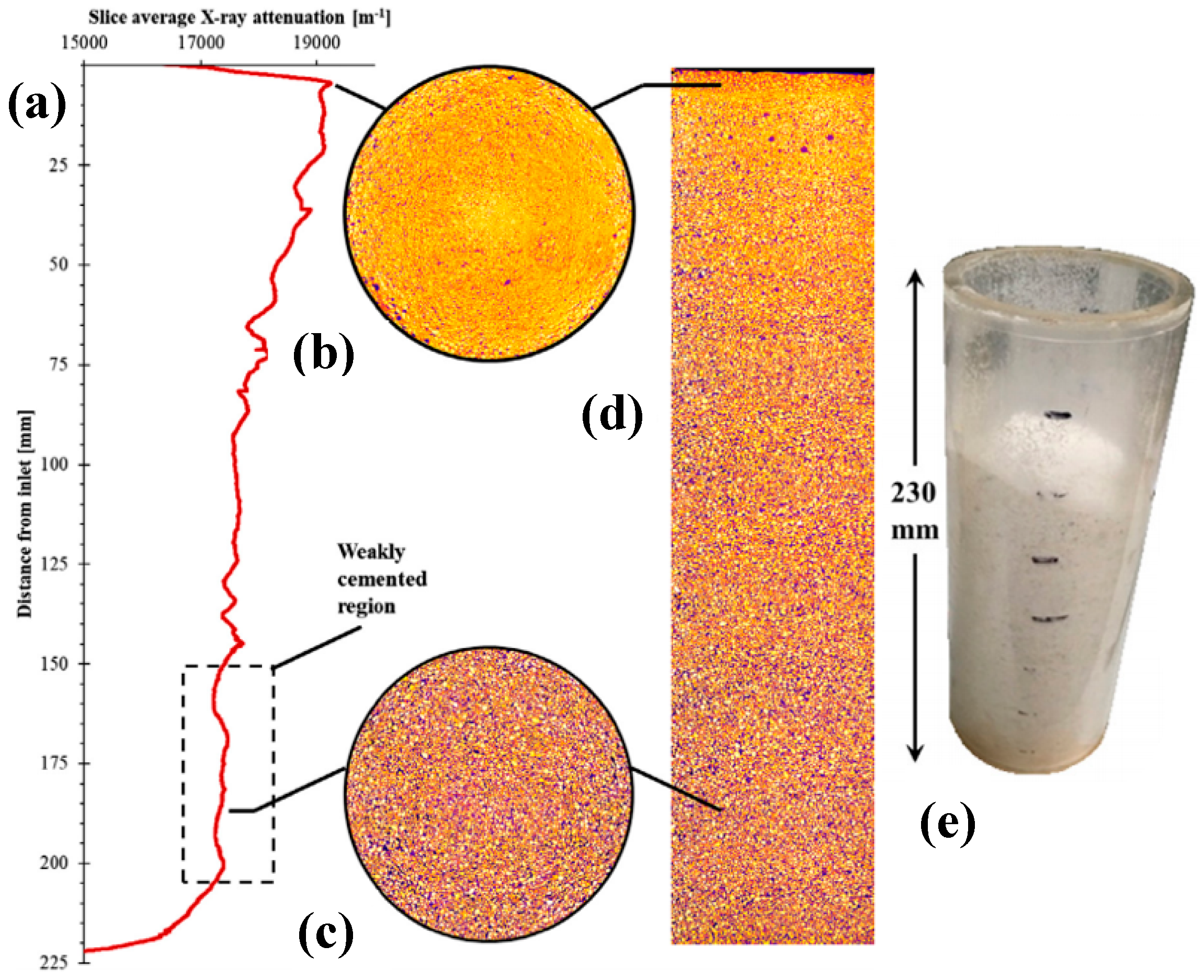 Molecules 25 05499 g009