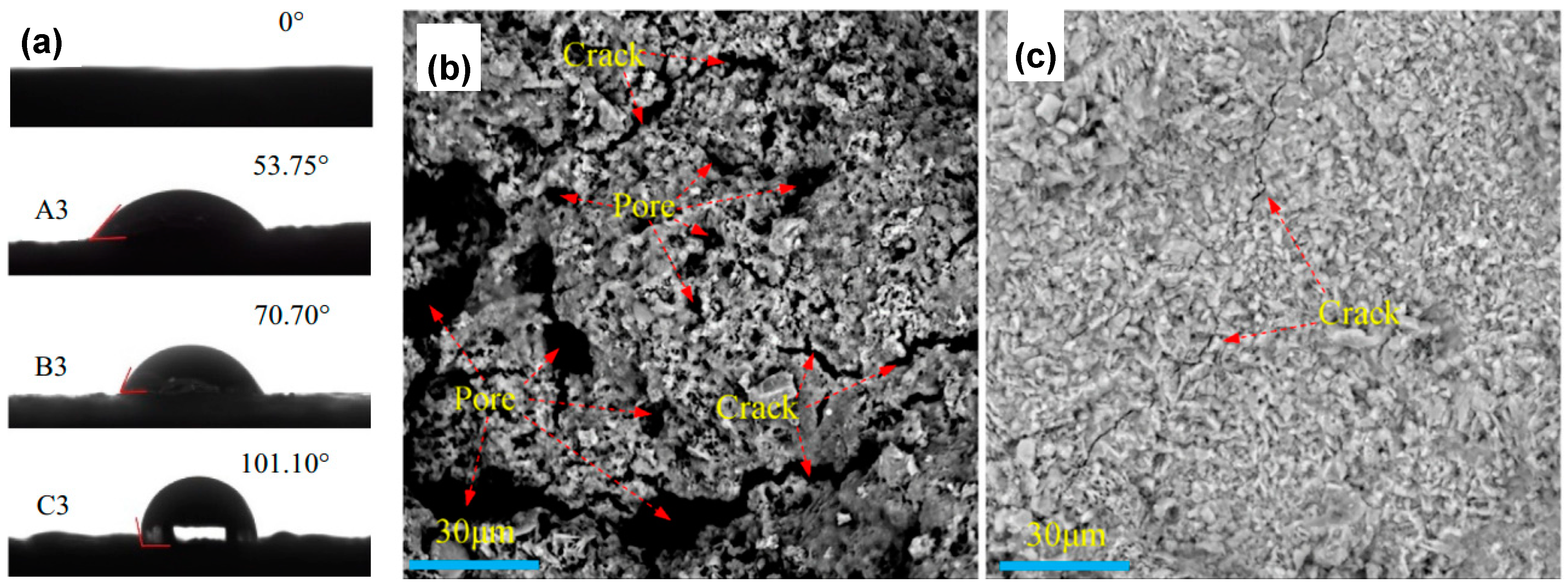 Molecules 25 05499 g012