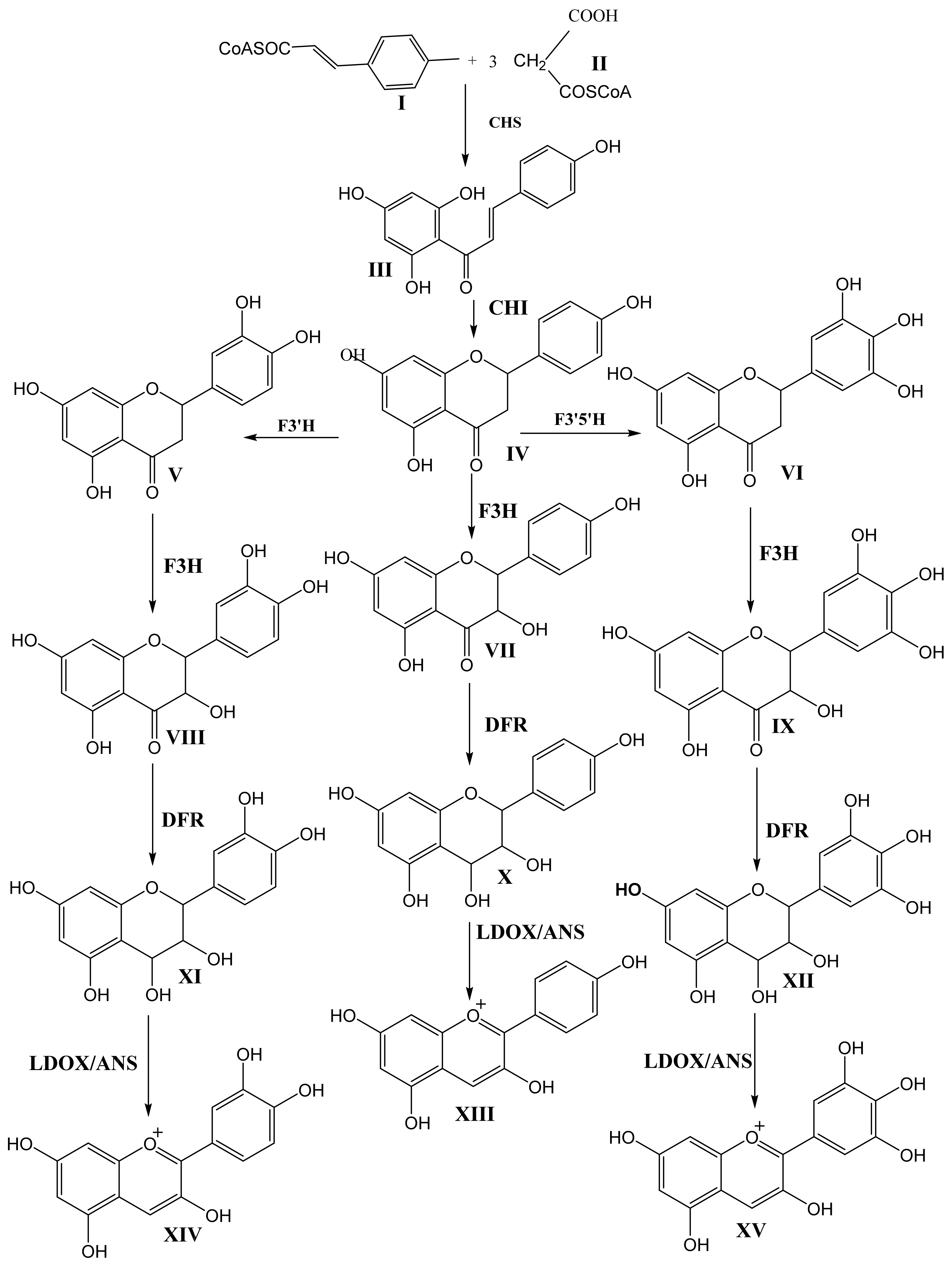 Molecules 25 05500 g002 Molecules 25 05500 g002