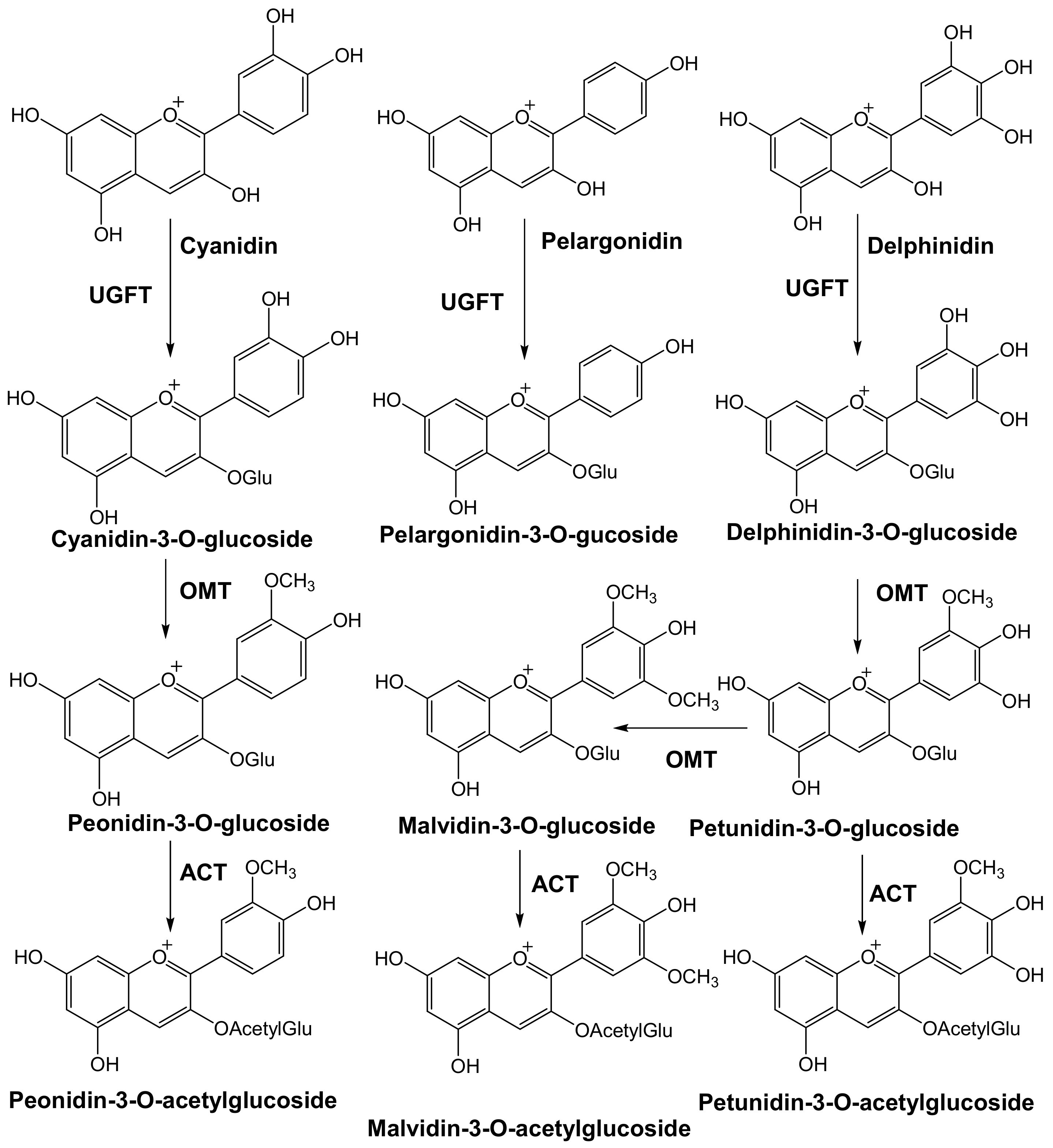 Molecules 25 05500 g003 Molecules 25 05500 g003