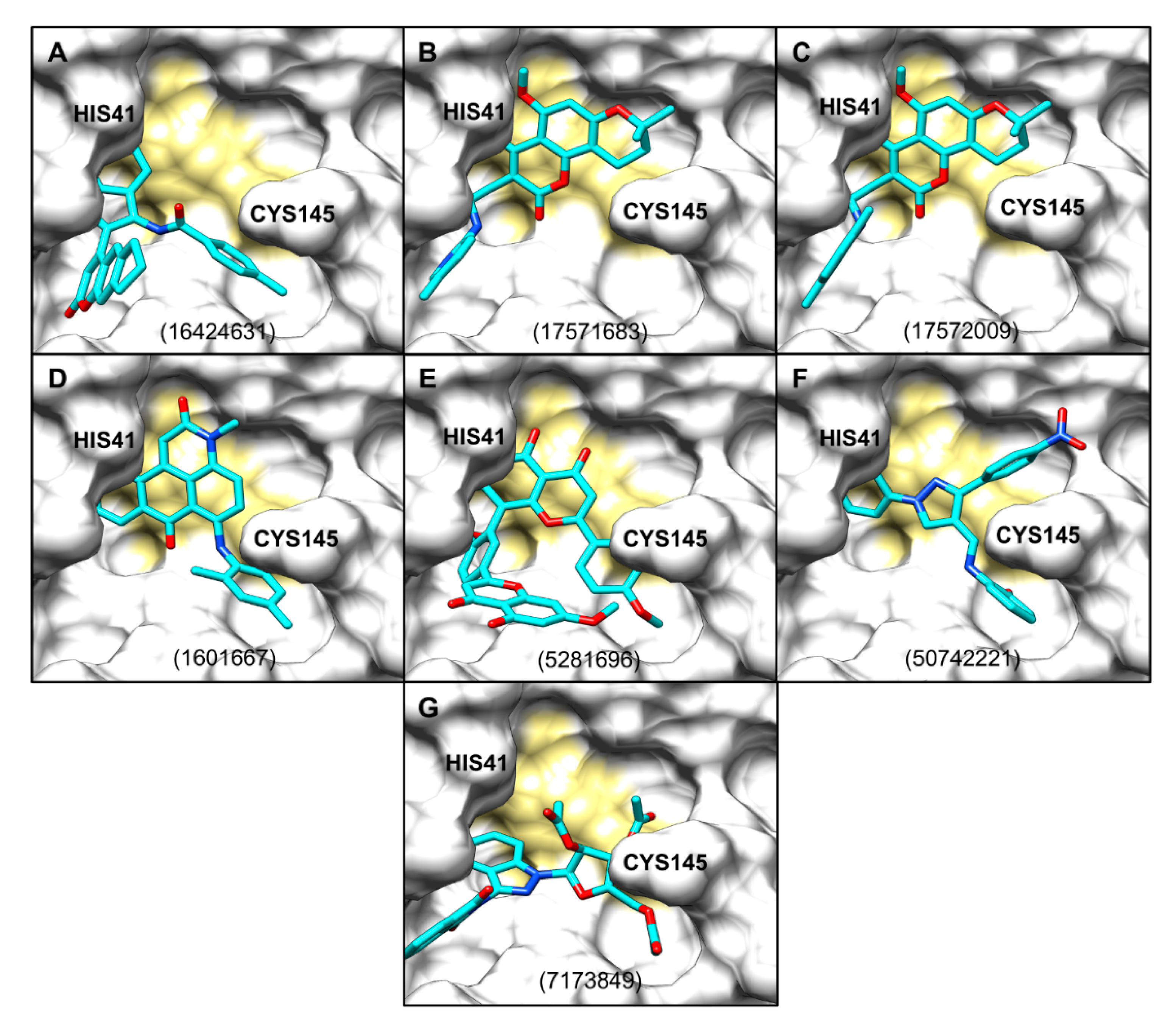 Molecules 25 05501 g004 Molecules 25 05501 g004