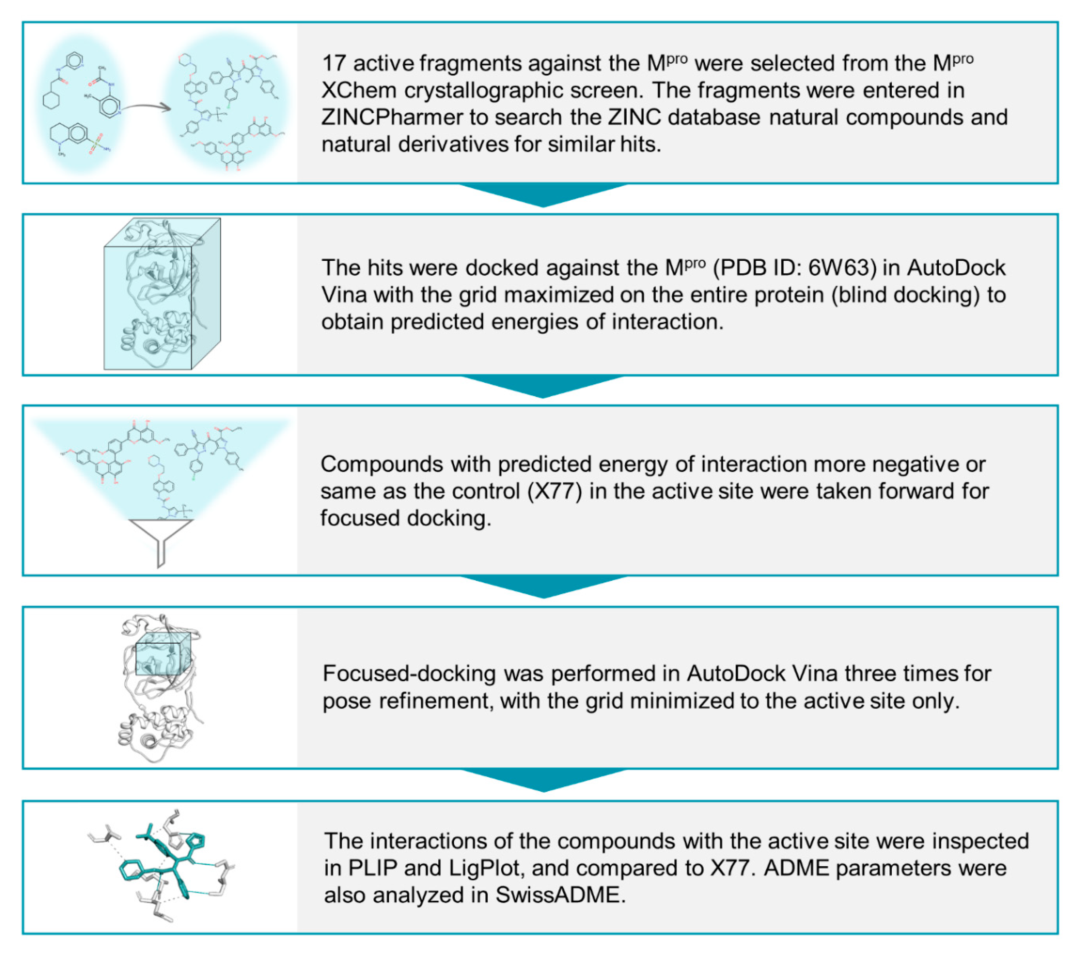 Molecules 25 05501 g007 Molecules 25 05501 g007