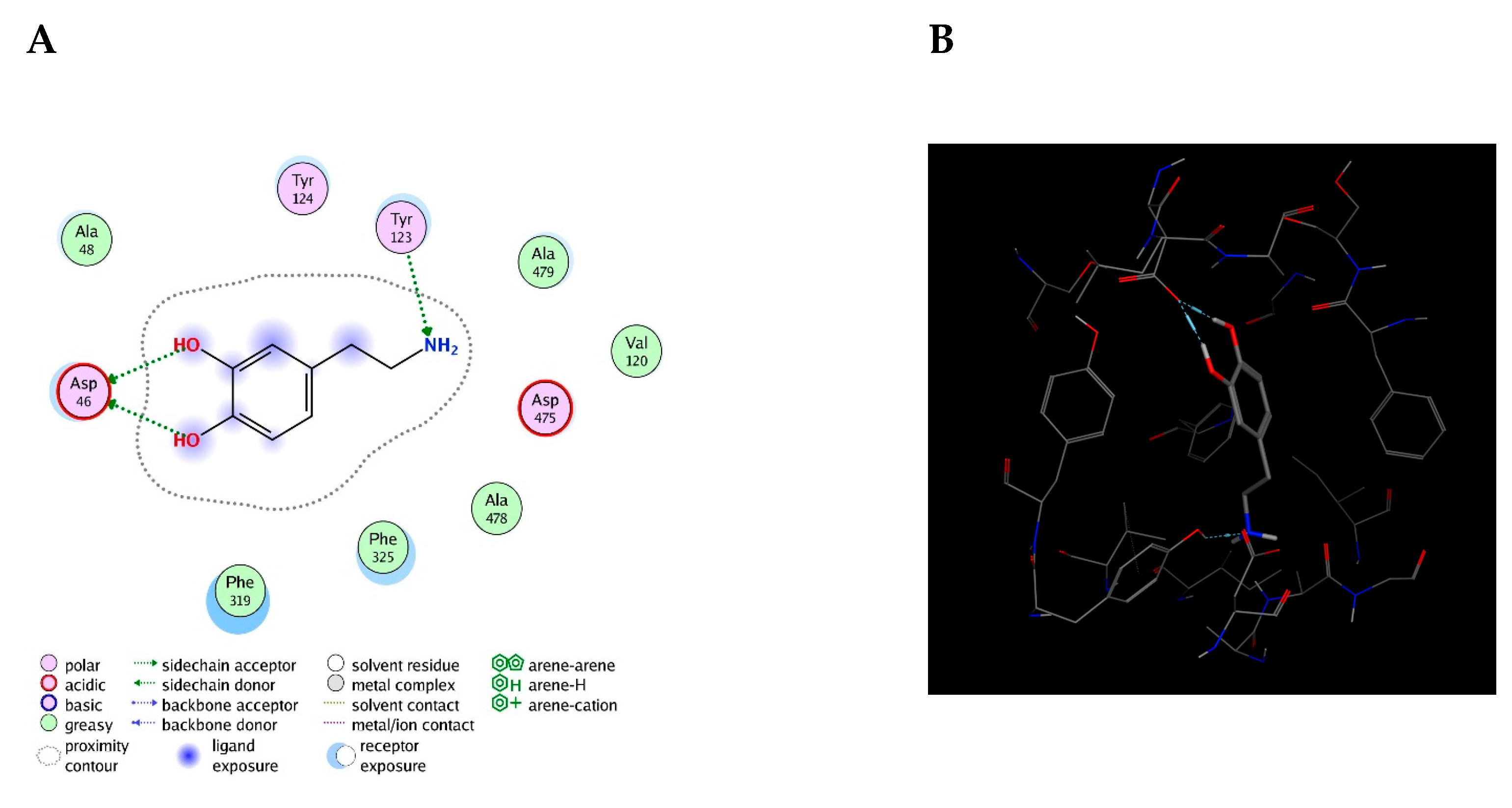 Molecules 25 05509 g005
