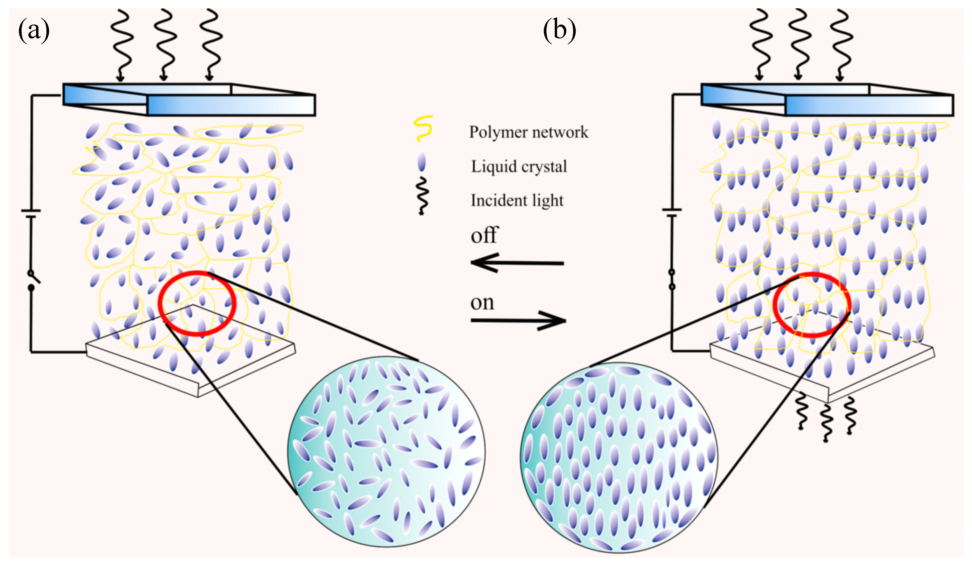 Molecules 25 05510 g001