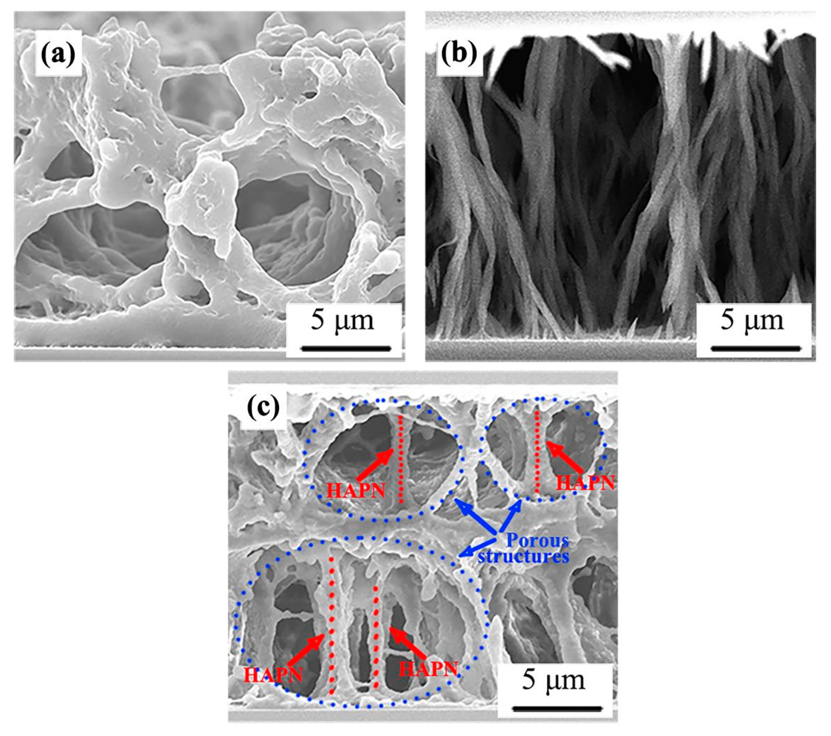Molecules 25 05510 g004