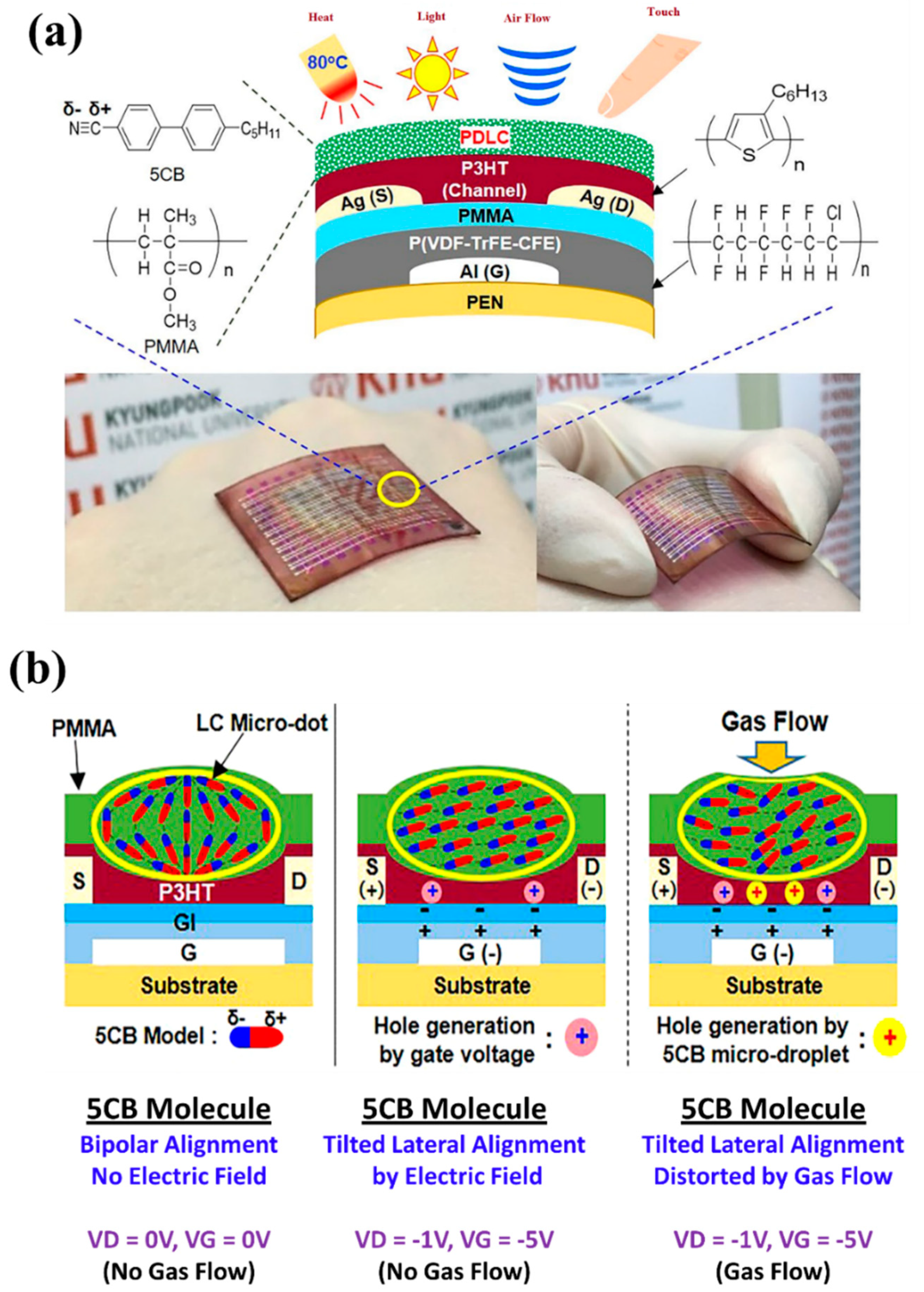 Molecules 25 05510 g007