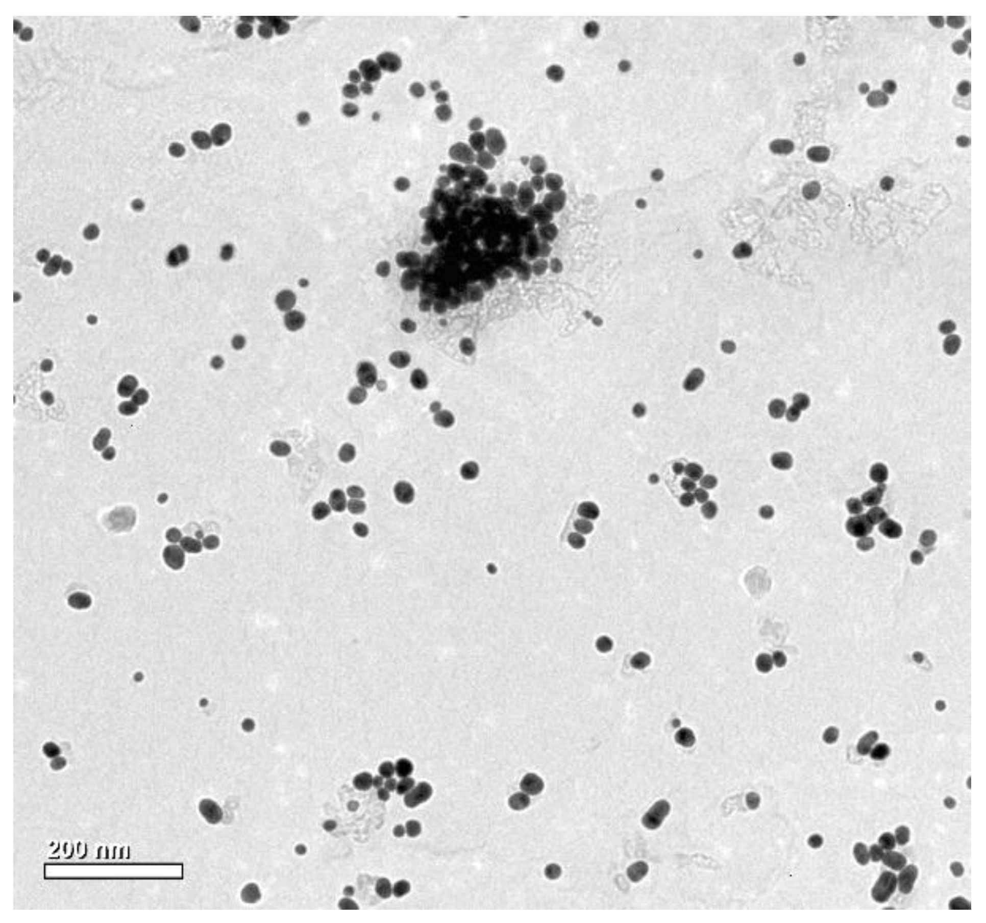 Molecules 25 05511 g004 Molecules 25 05511 g004