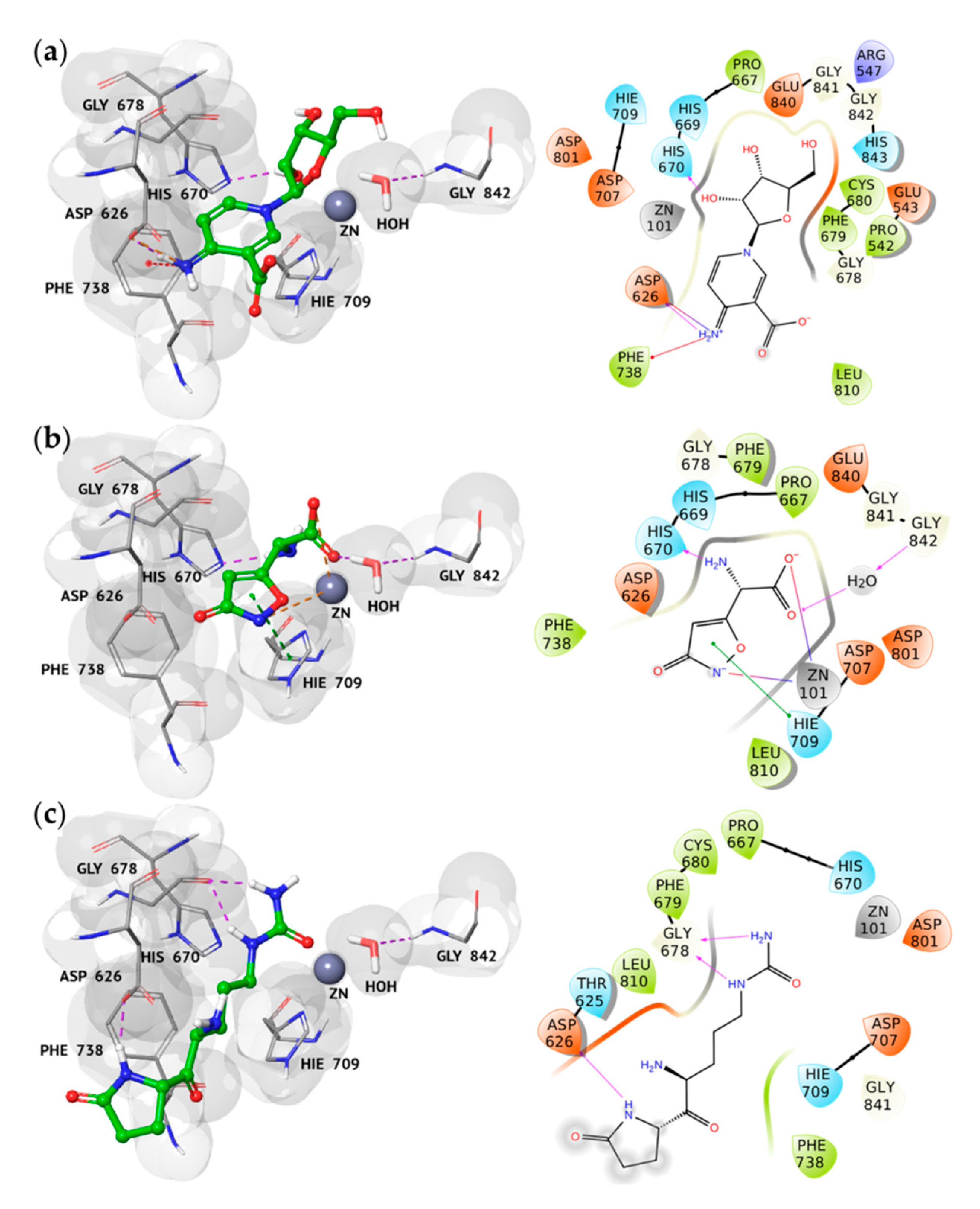 Molecules 25 05524 g001 Molecules 25 05524 g001