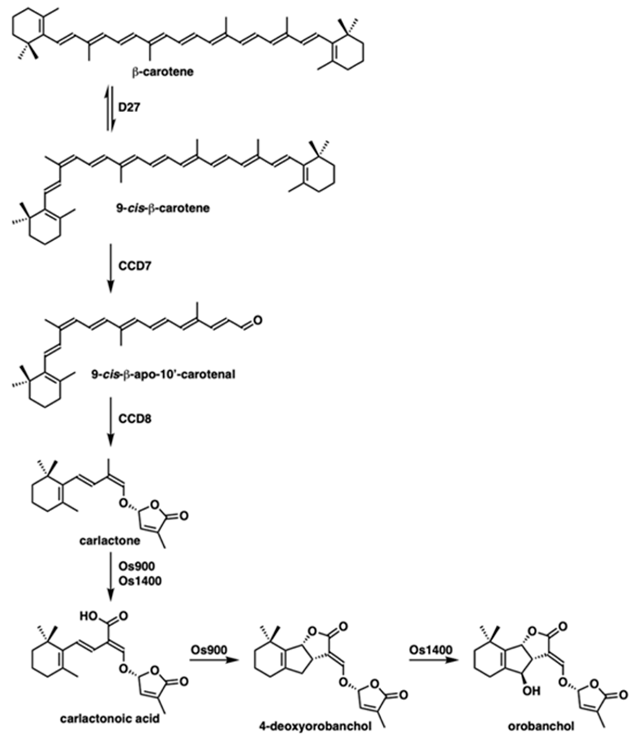 Molecules 25 05525 g001 Molecules 25 05525 g001