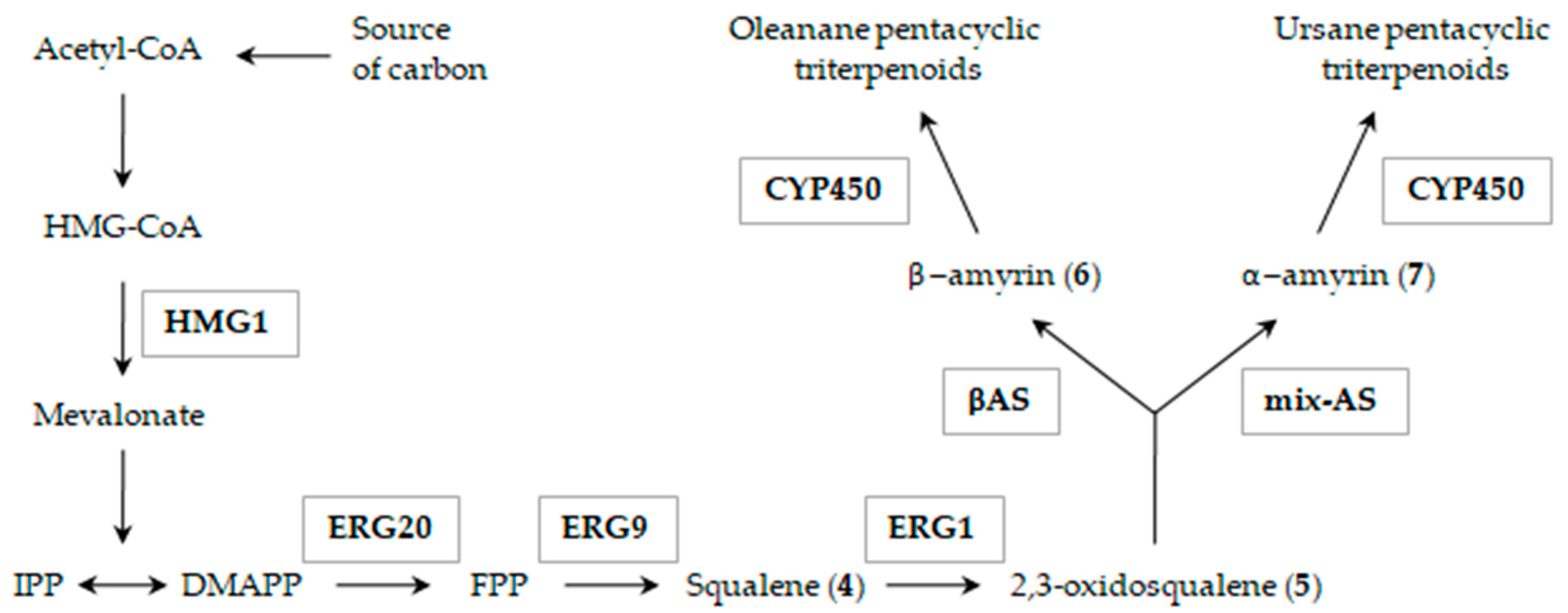 Molecules 25 05526 sch001