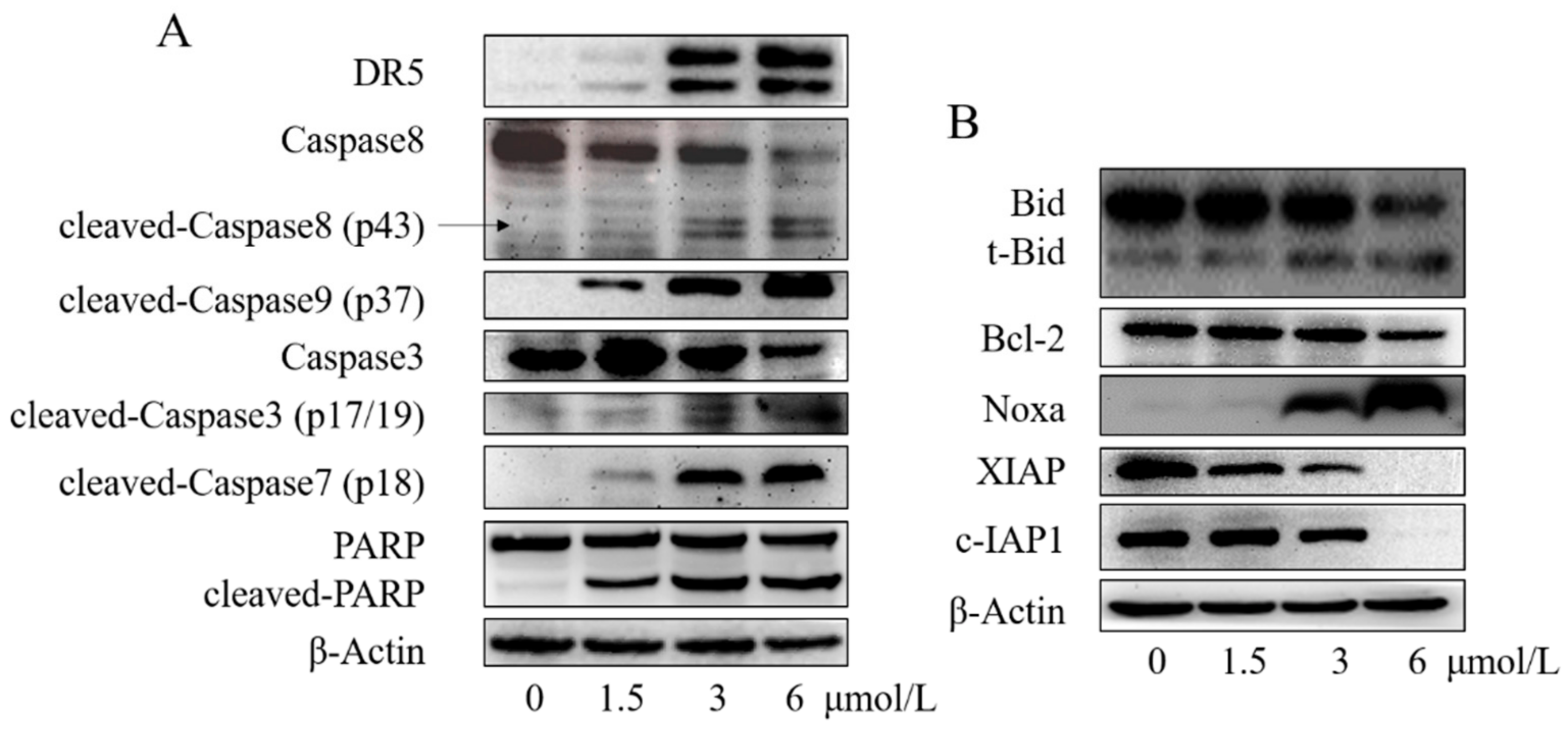 Molecules 25 05530 g007