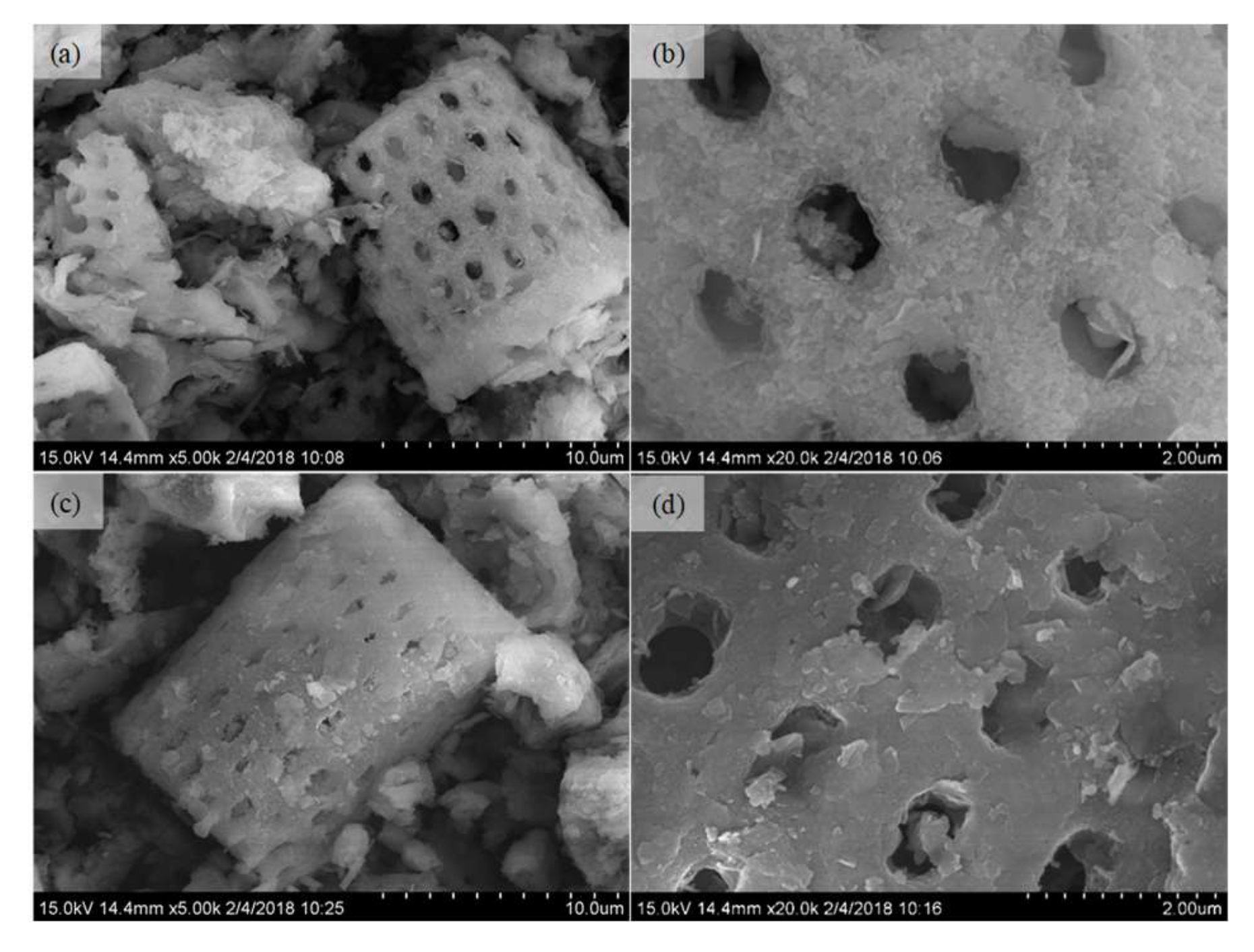 Molecules 25 05531 g002