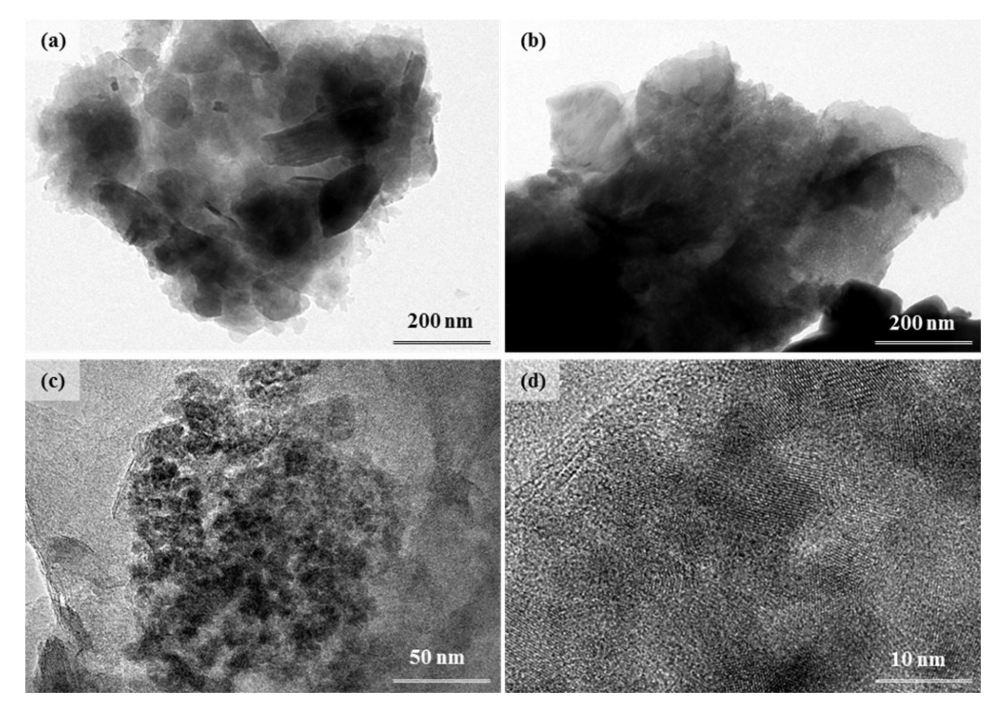 Molecules 25 05531 g003
