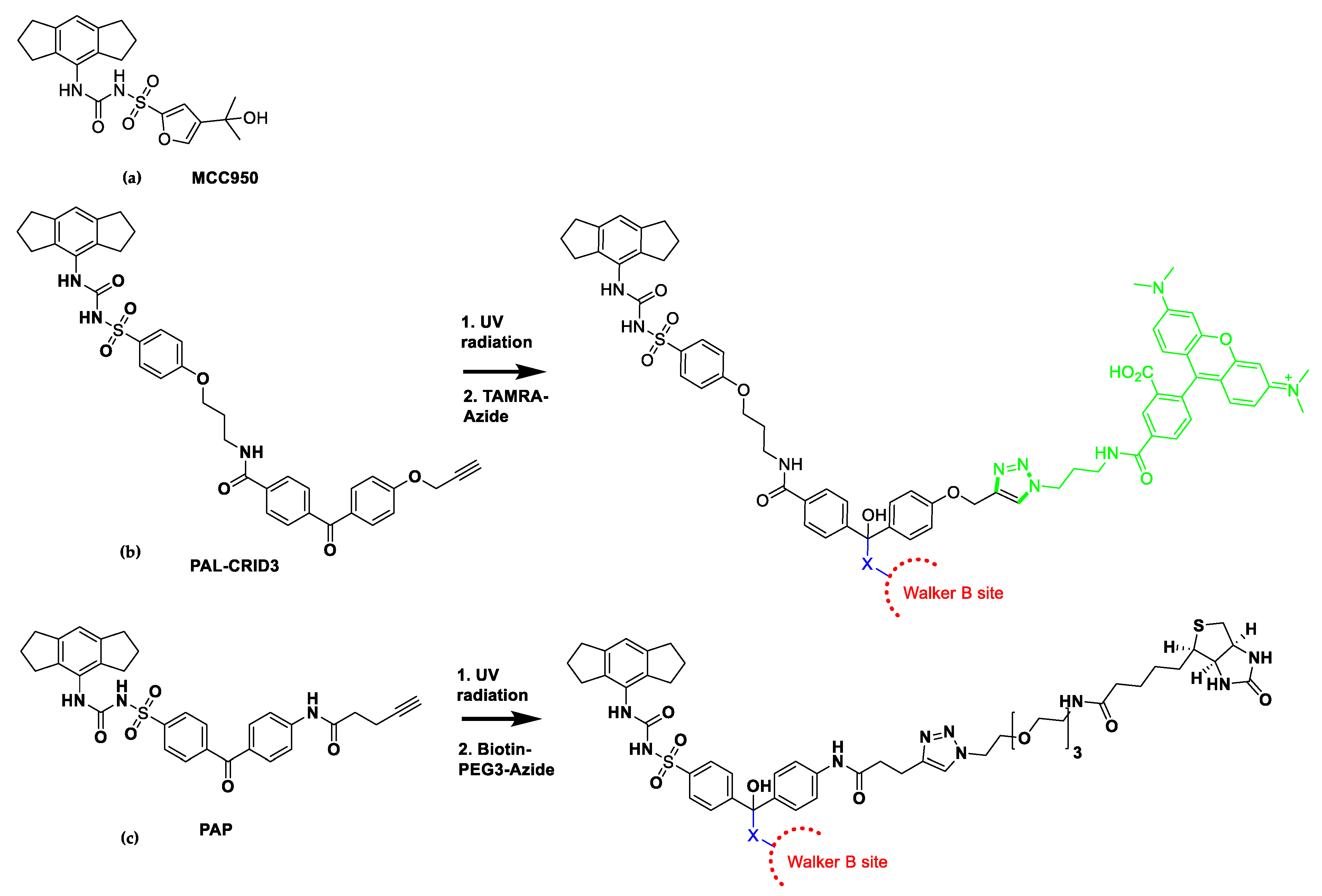 Molecules 25 05533 g005 Molecules 25 05533 g005
