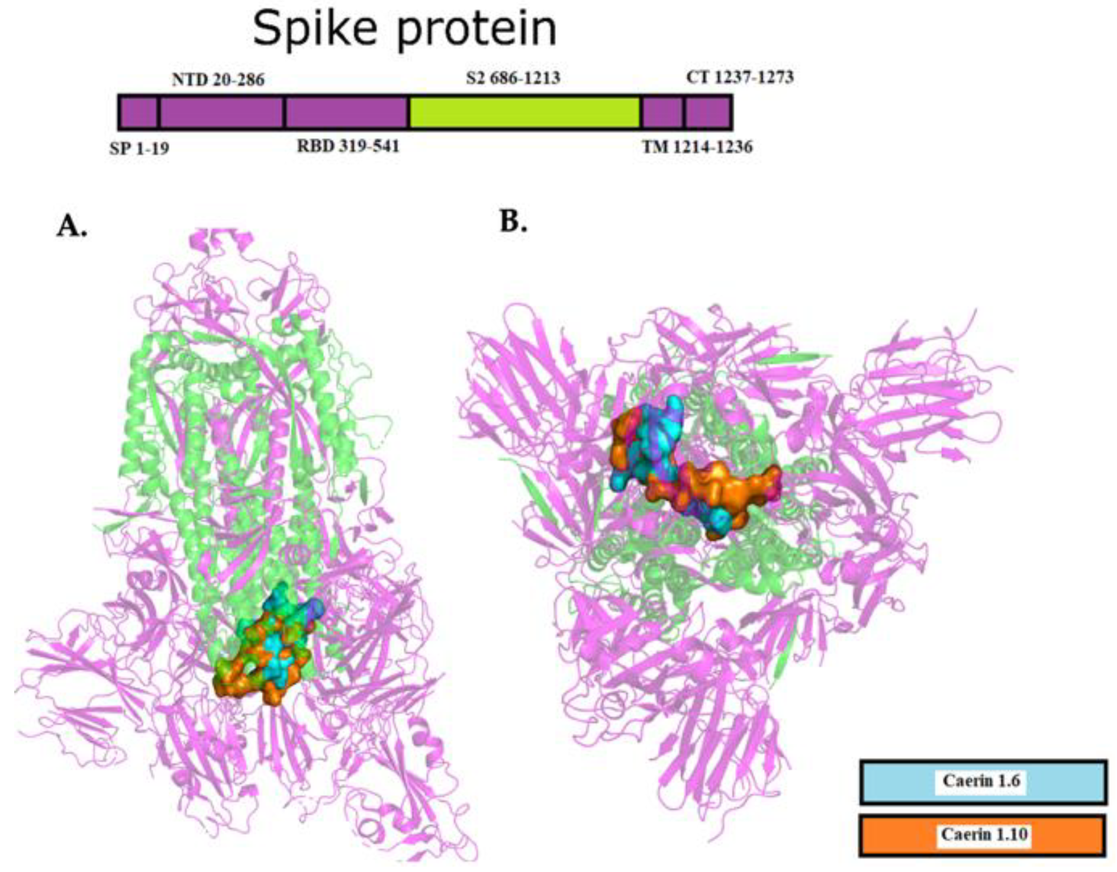 Molecules 25 05535 g004