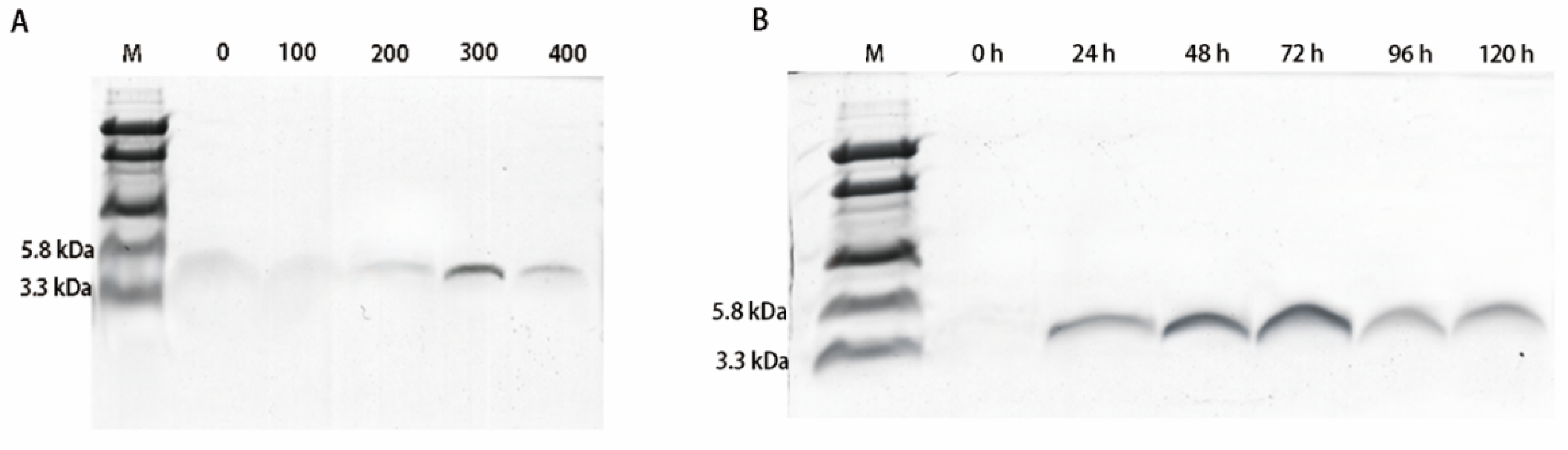 Molecules 25 05538 g001 Molecules 25 05538 g001