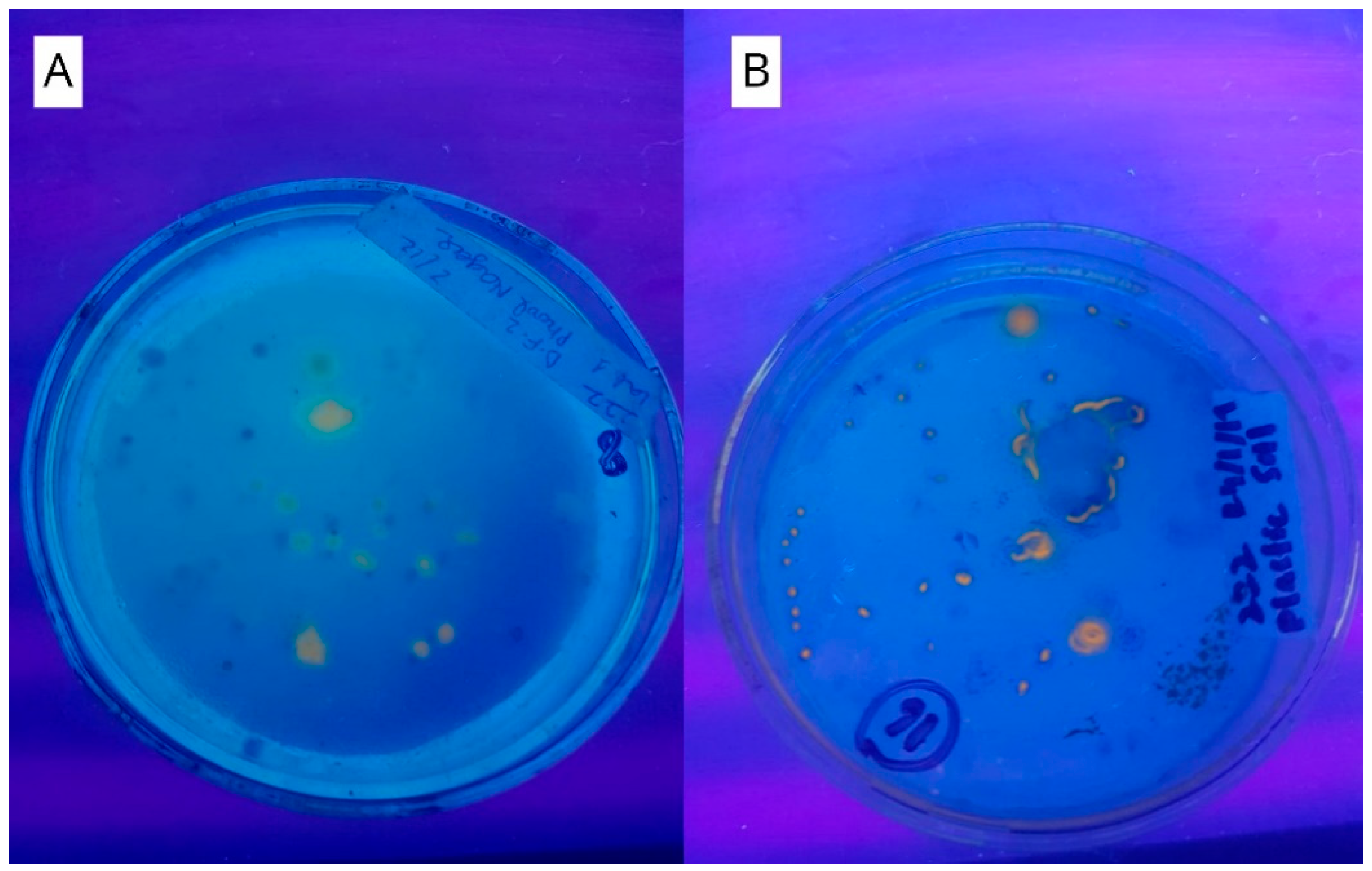 Molecules 25 05539 g001 Molecules 25 05539 g001