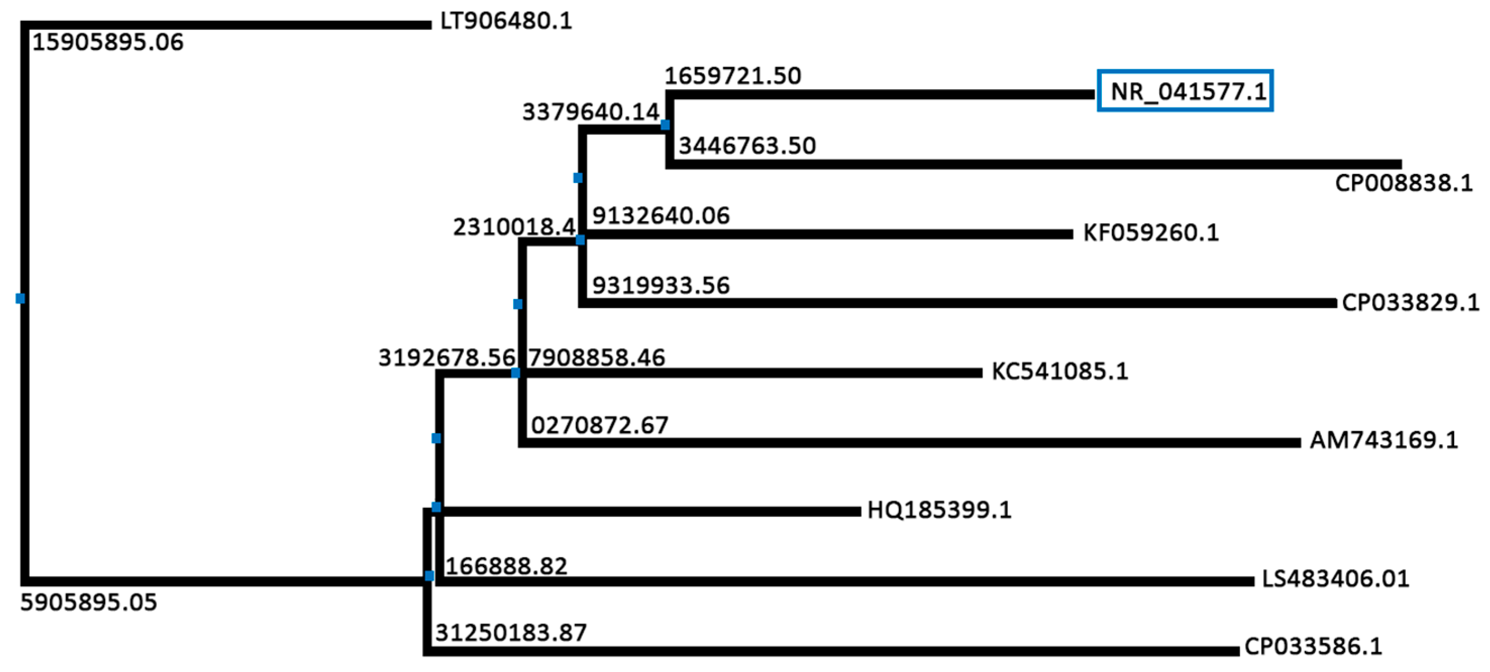 Molecules 25 05539 g003 Molecules 25 05539 g003