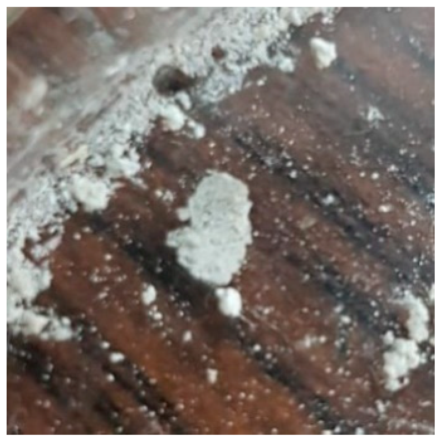 Molecules 25 05539 g009 Molecules 25 05539 g009