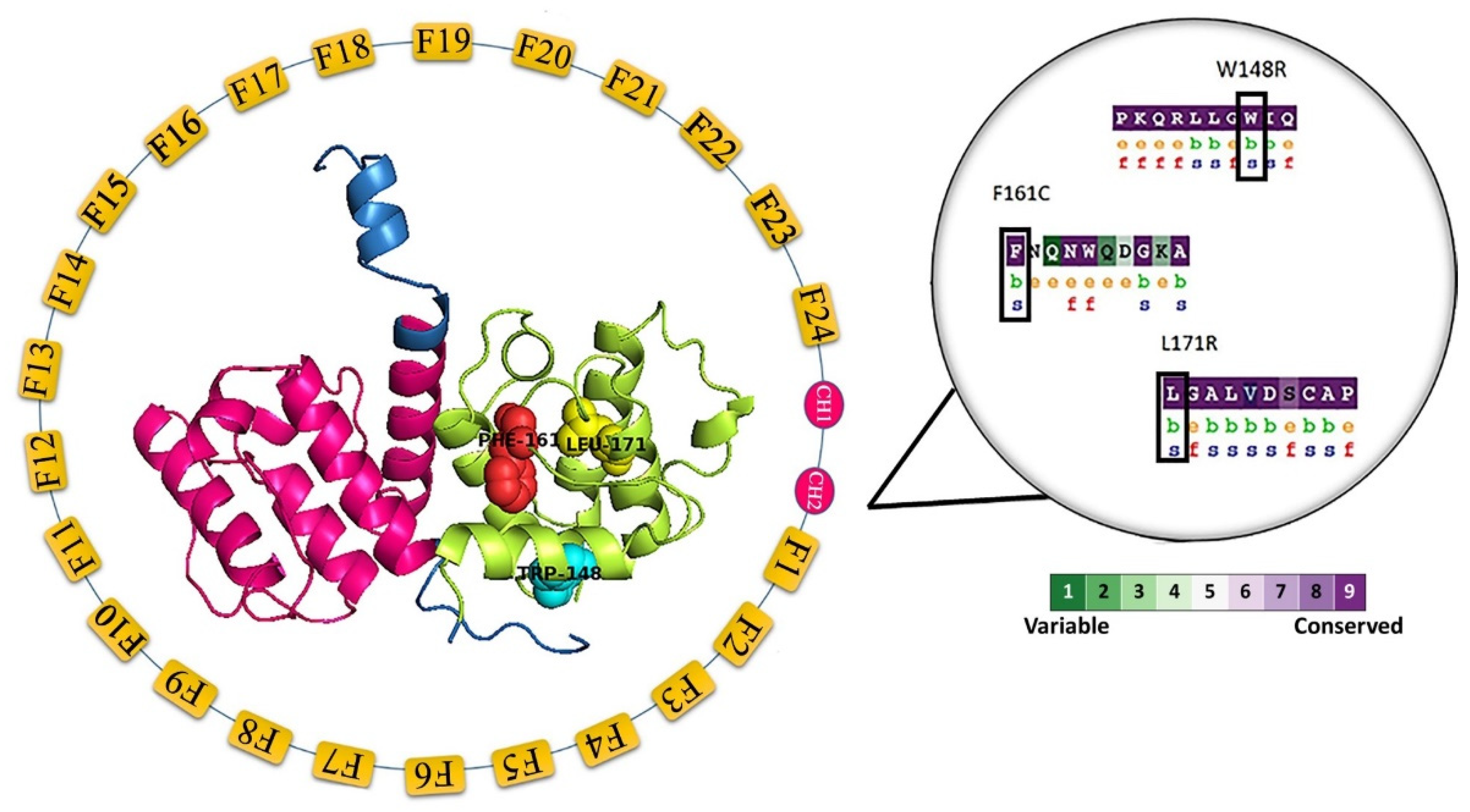 Molecules 25 05543 g001
