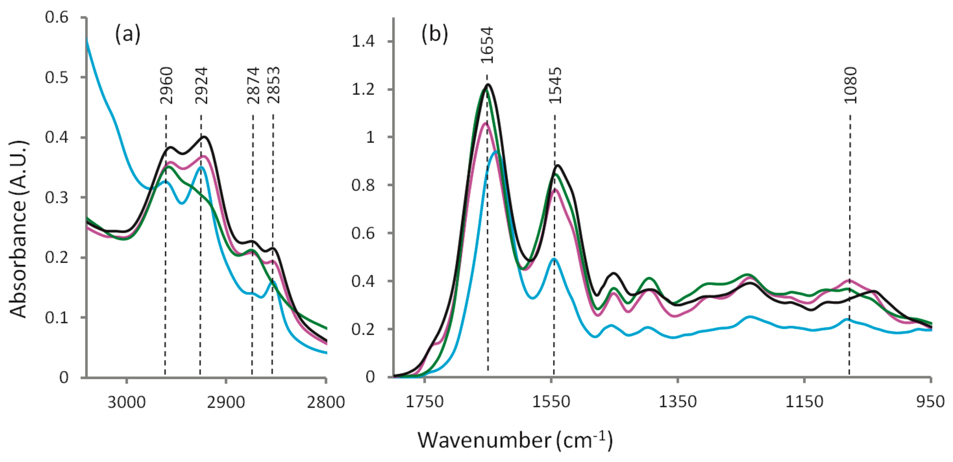 Molecules 25 05547 g002 Molecules 25 05547 g002