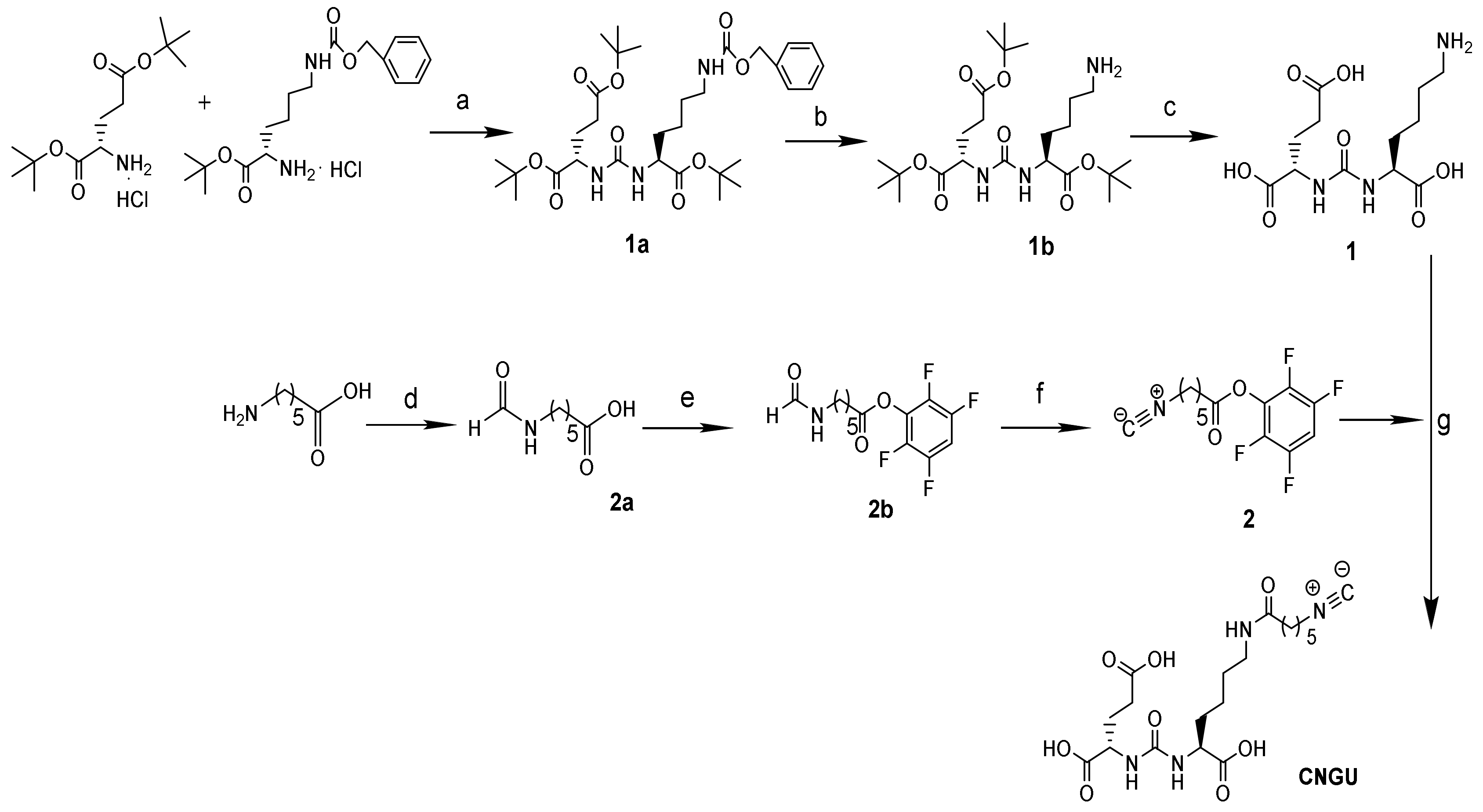 Molecules 25 05548 sch001