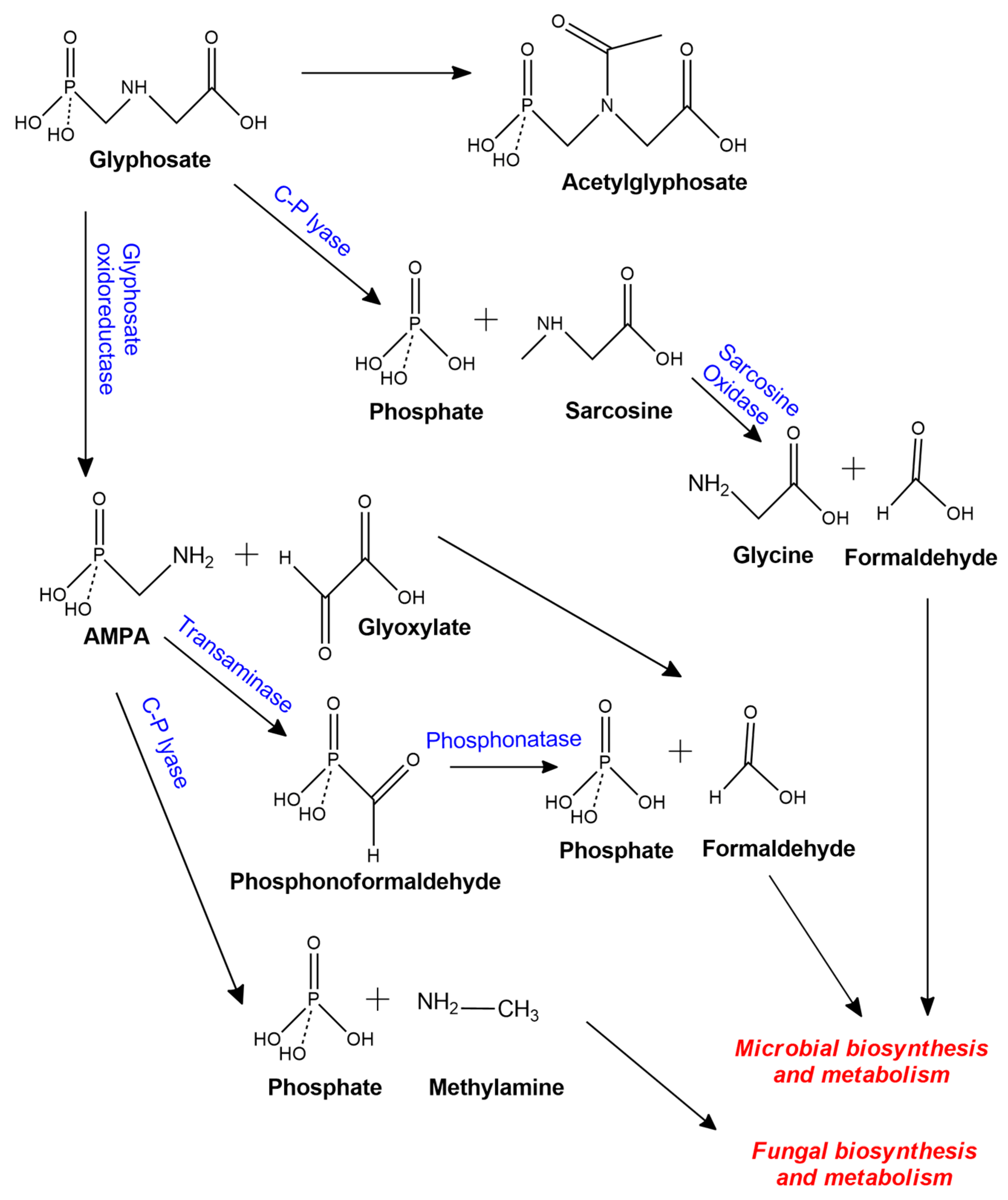 Molecules 25 05550 g001