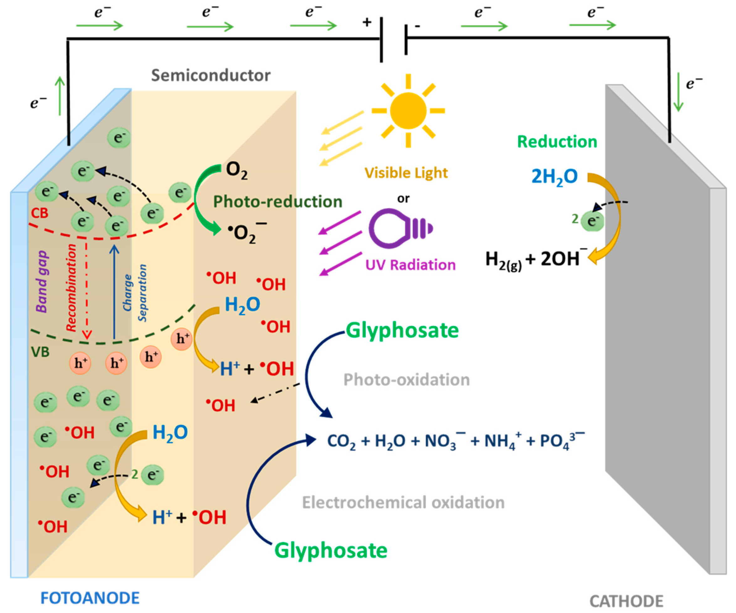 Molecules 25 05550 g005 Molecules 25 05550 g005