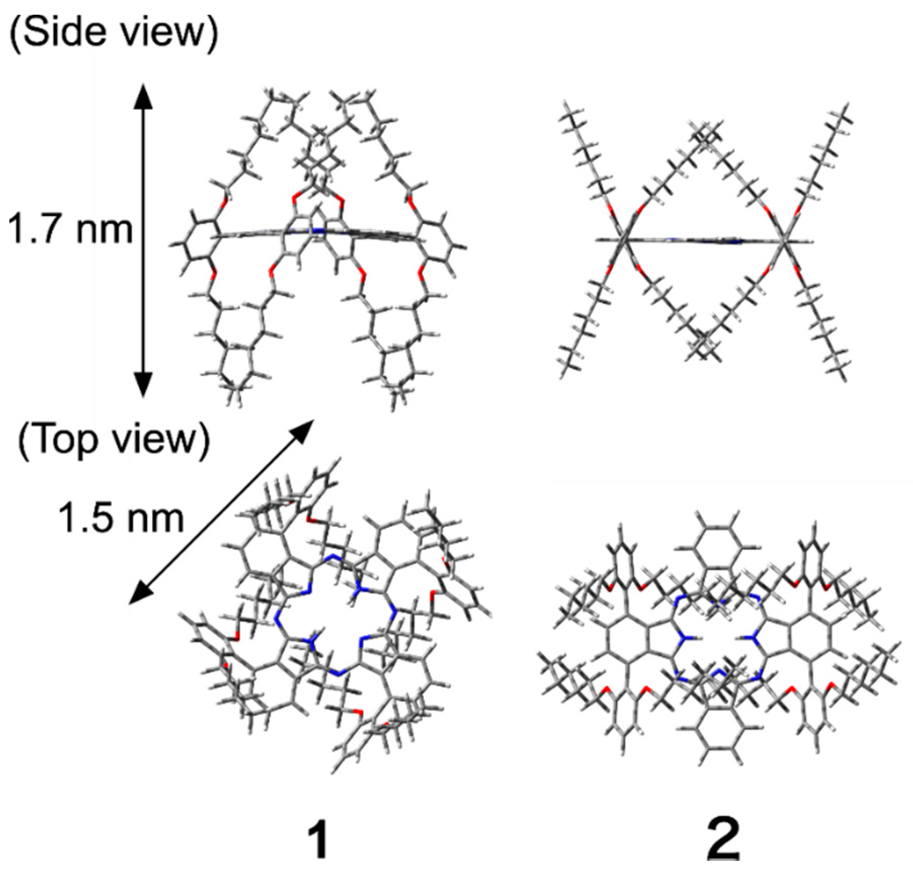 Molecules 25 05552 g005