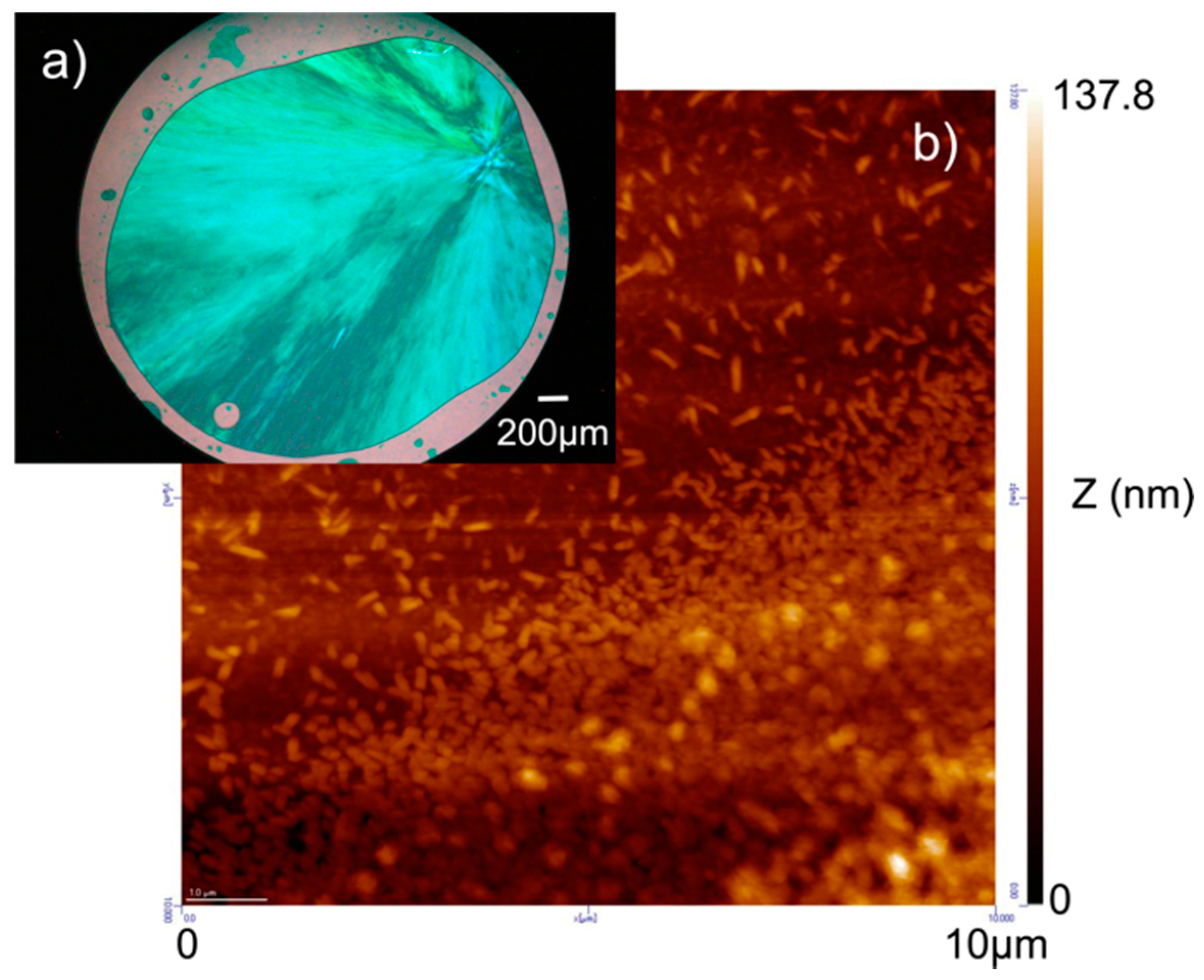 Molecules 25 05552 g006