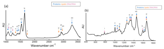 Molecules 25 05554 g003 550