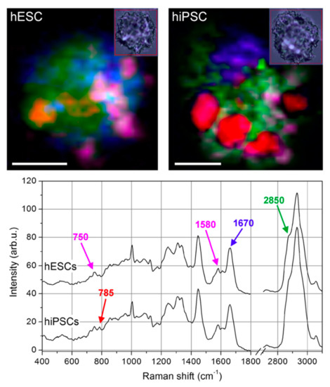 Molecules 25 05554 g004 550