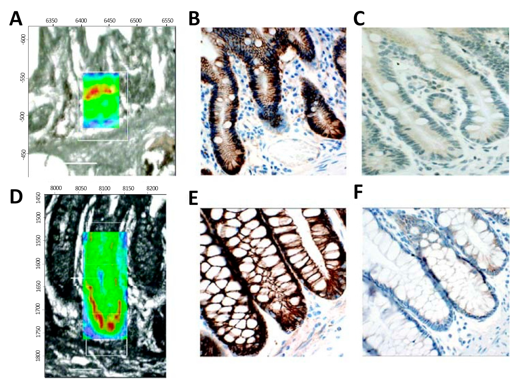 Molecules 25 05554 g005 Molecules 25 05554 g005